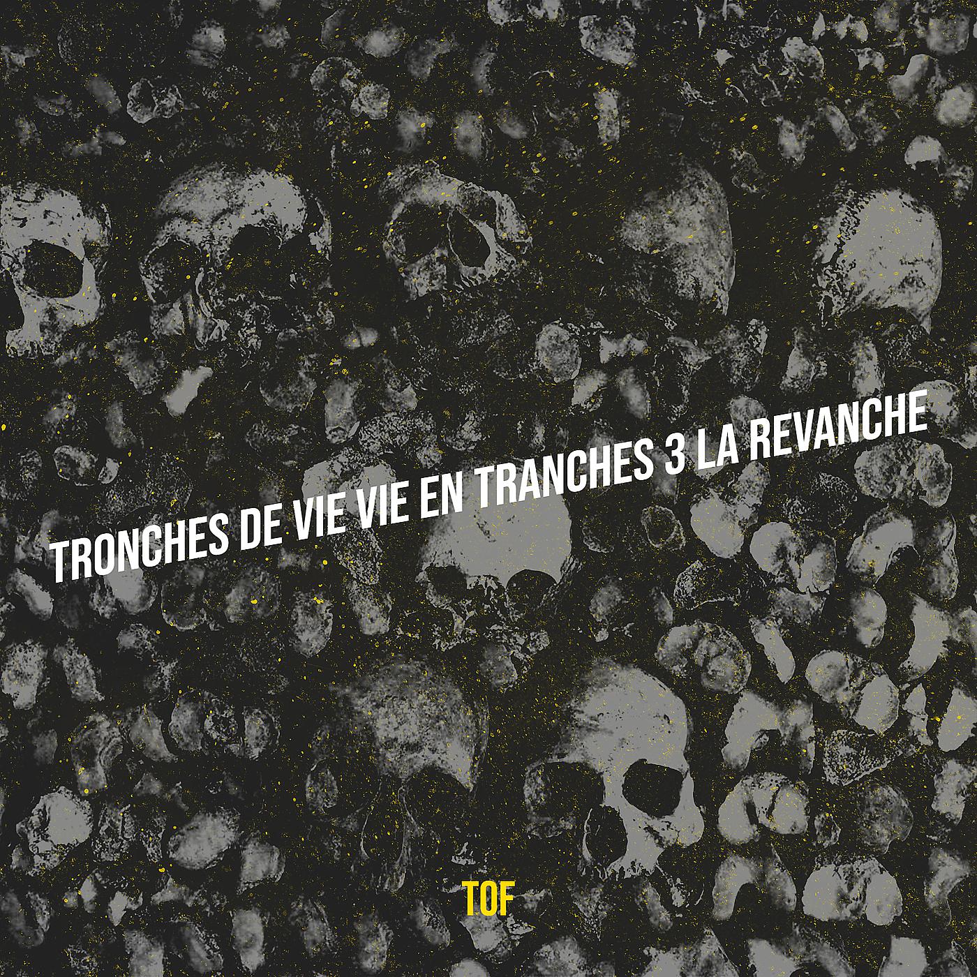 Постер альбома Tronches De Vie Vie En Tranches 3 La Revanche