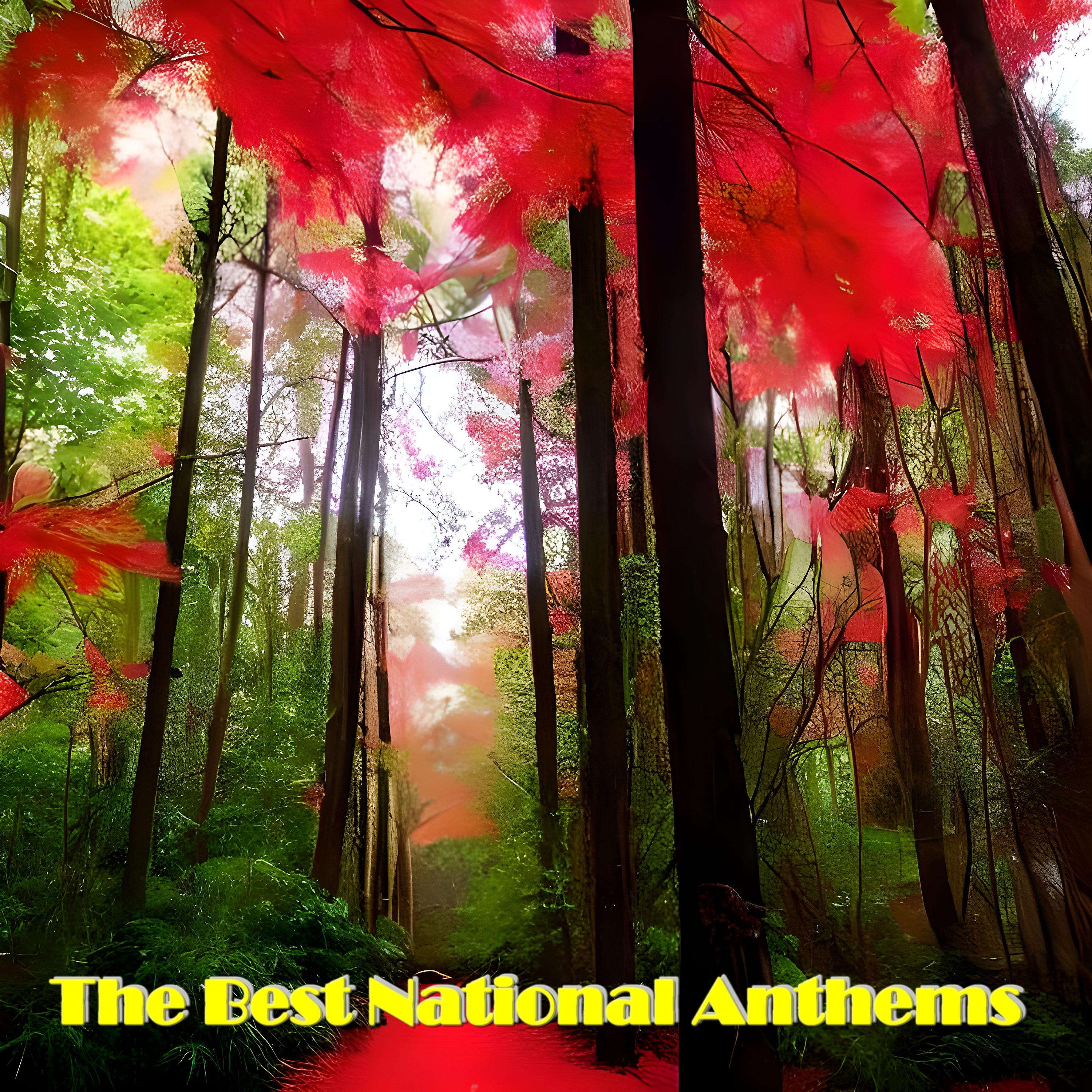 Постер альбома The Best National Anthems