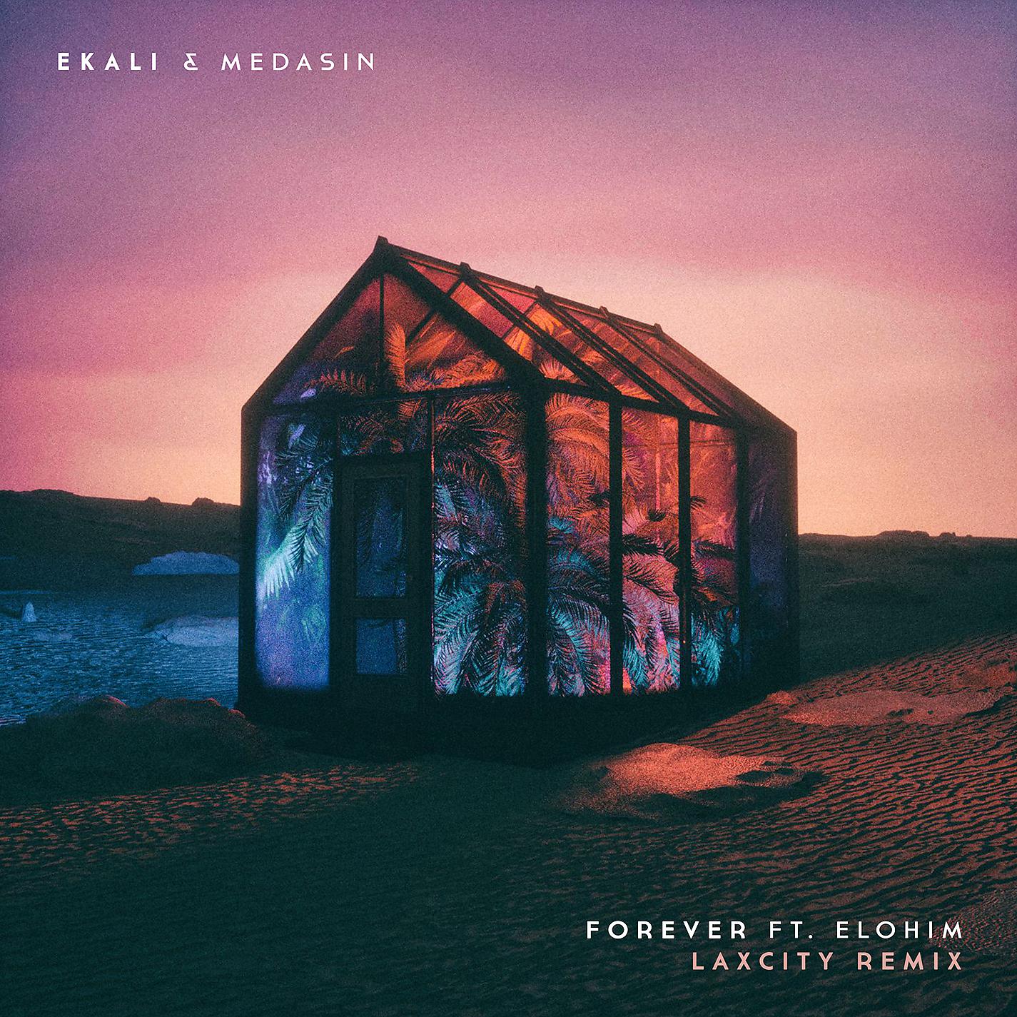 Постер альбома Forever (feat. Elohim) [Laxcity Remix]