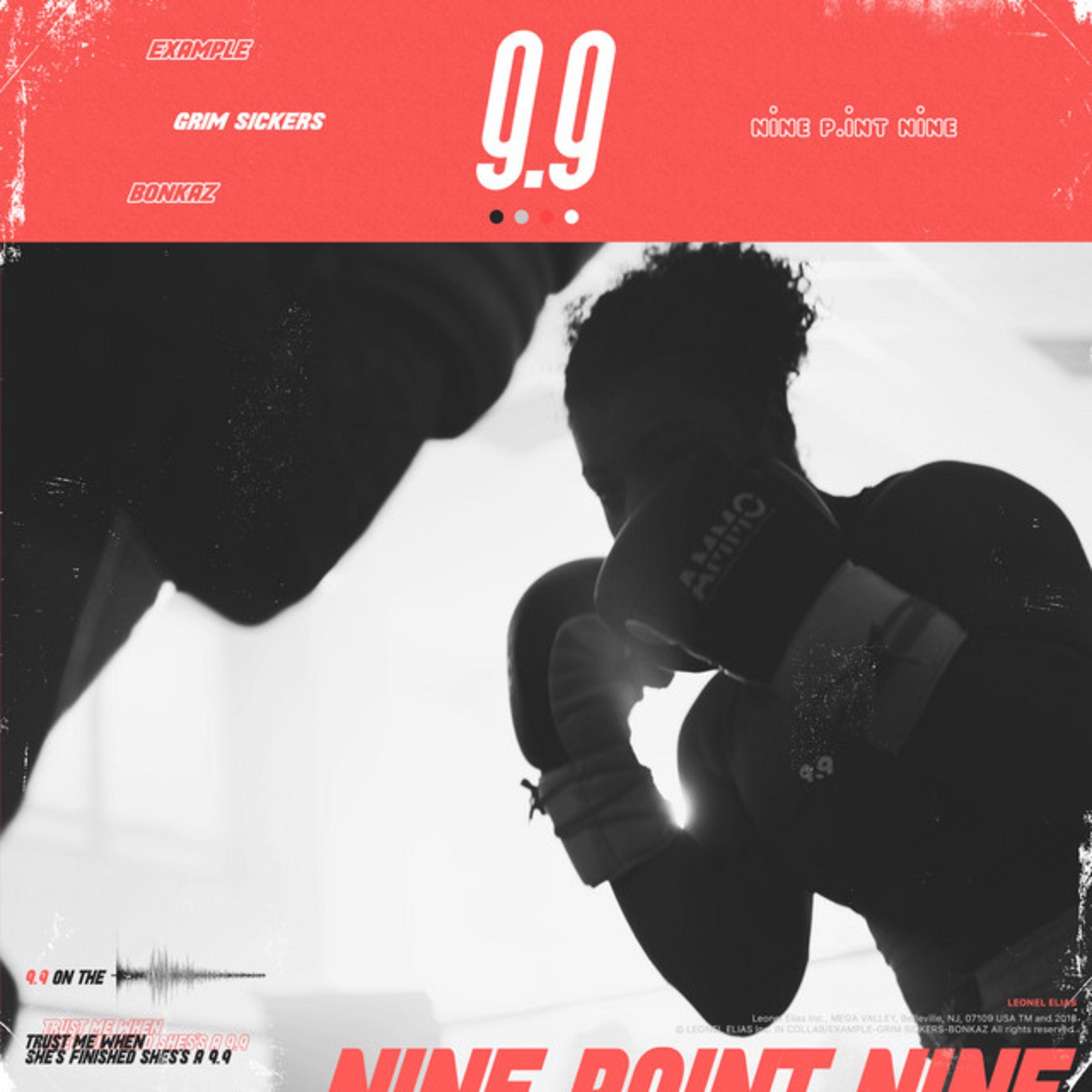 Постер альбома Nine Point Nine