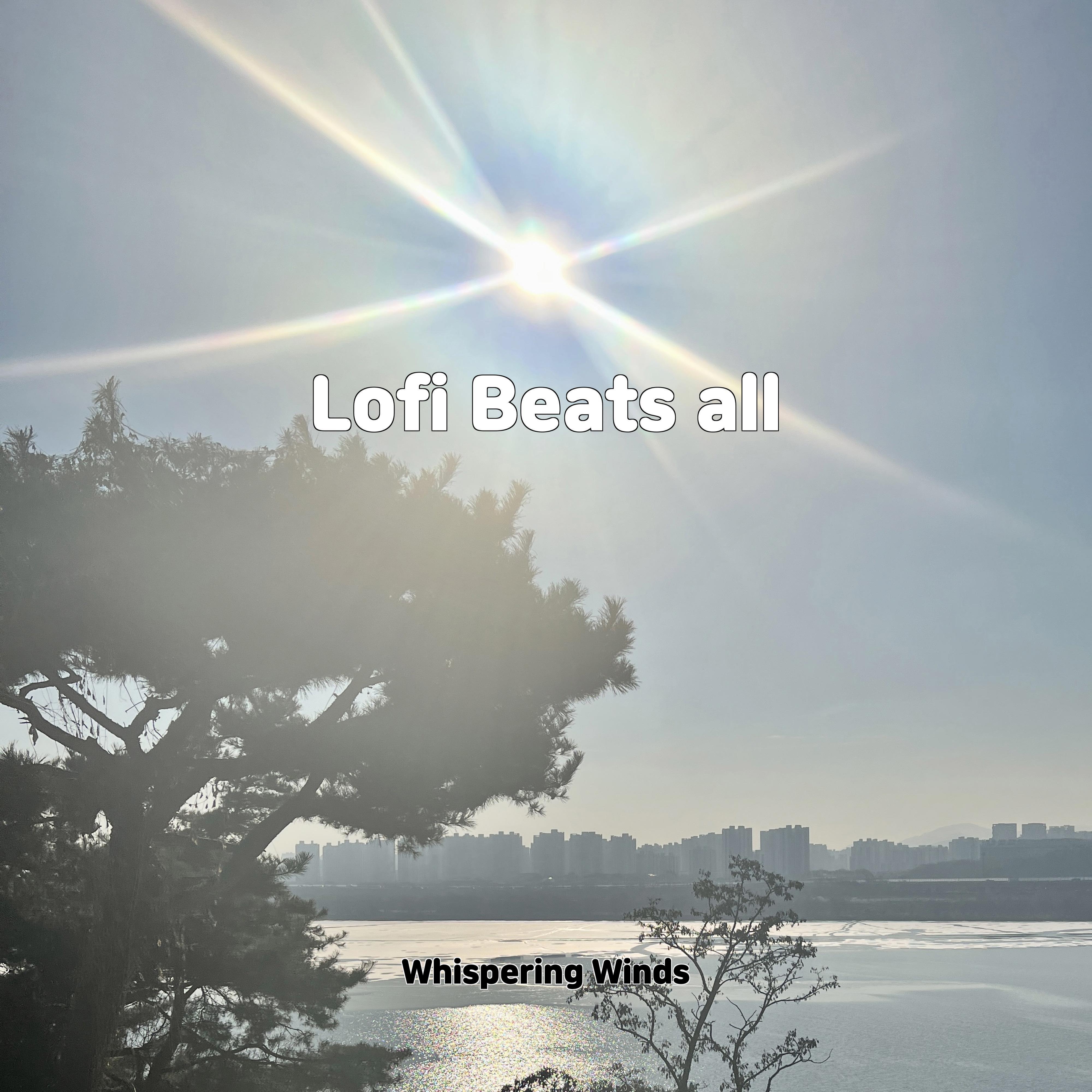 Постер альбома Lofi Beats all