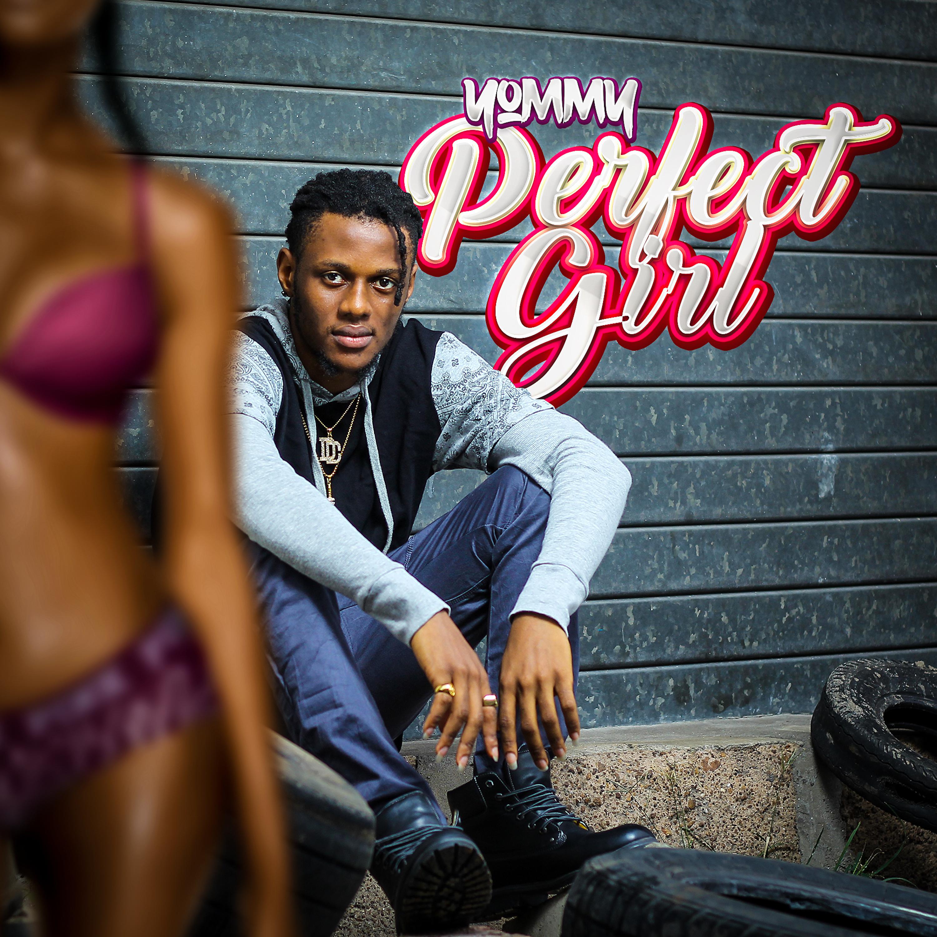 Постер альбома Perfect Girl