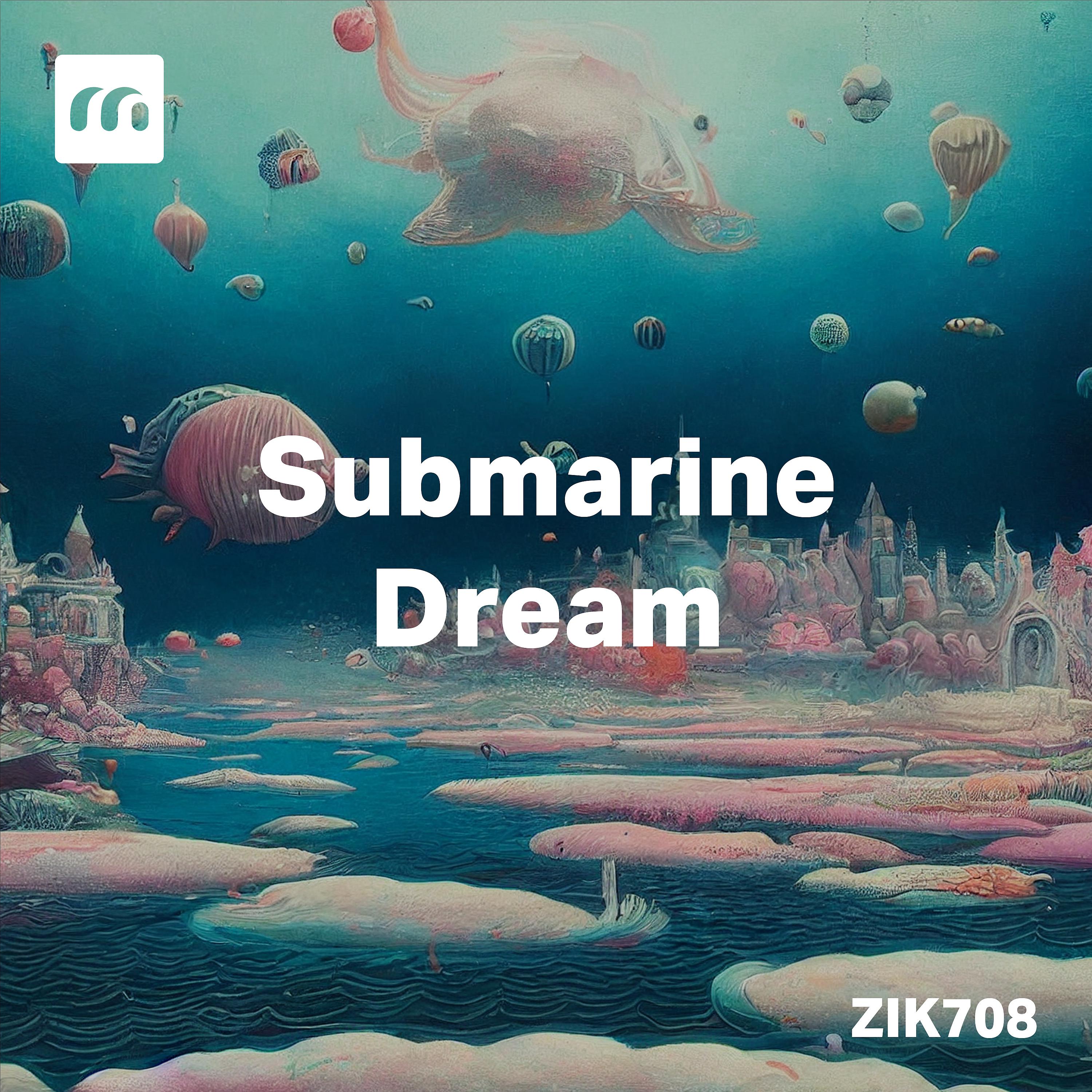 Постер альбома Submarine Dream