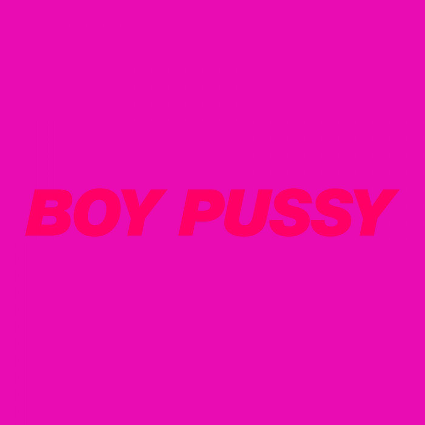 Постер альбома Boy Pussy: The Remixes, Vol. 1
