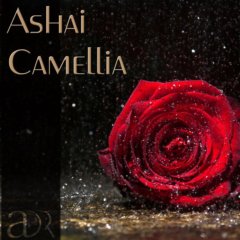 Постер альбома Camellia