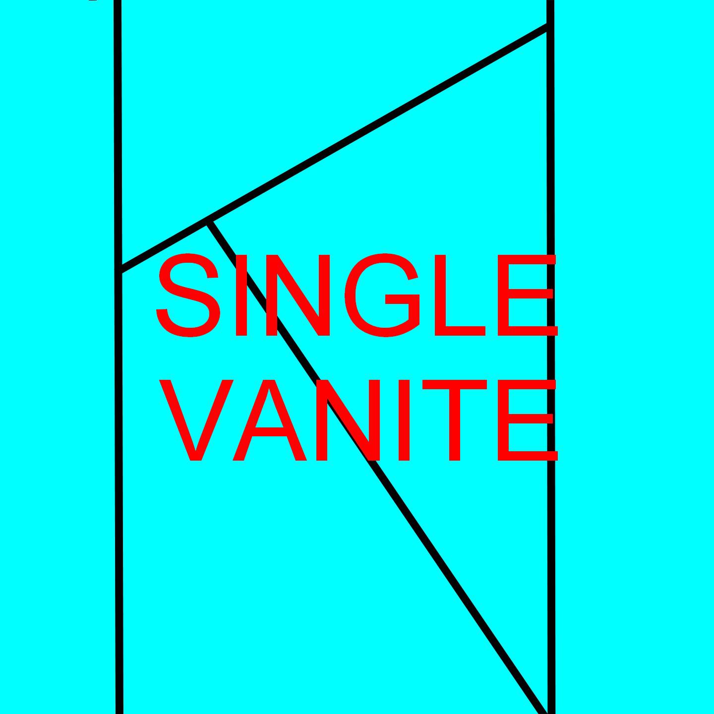 Постер альбома SINGLE - VANITE