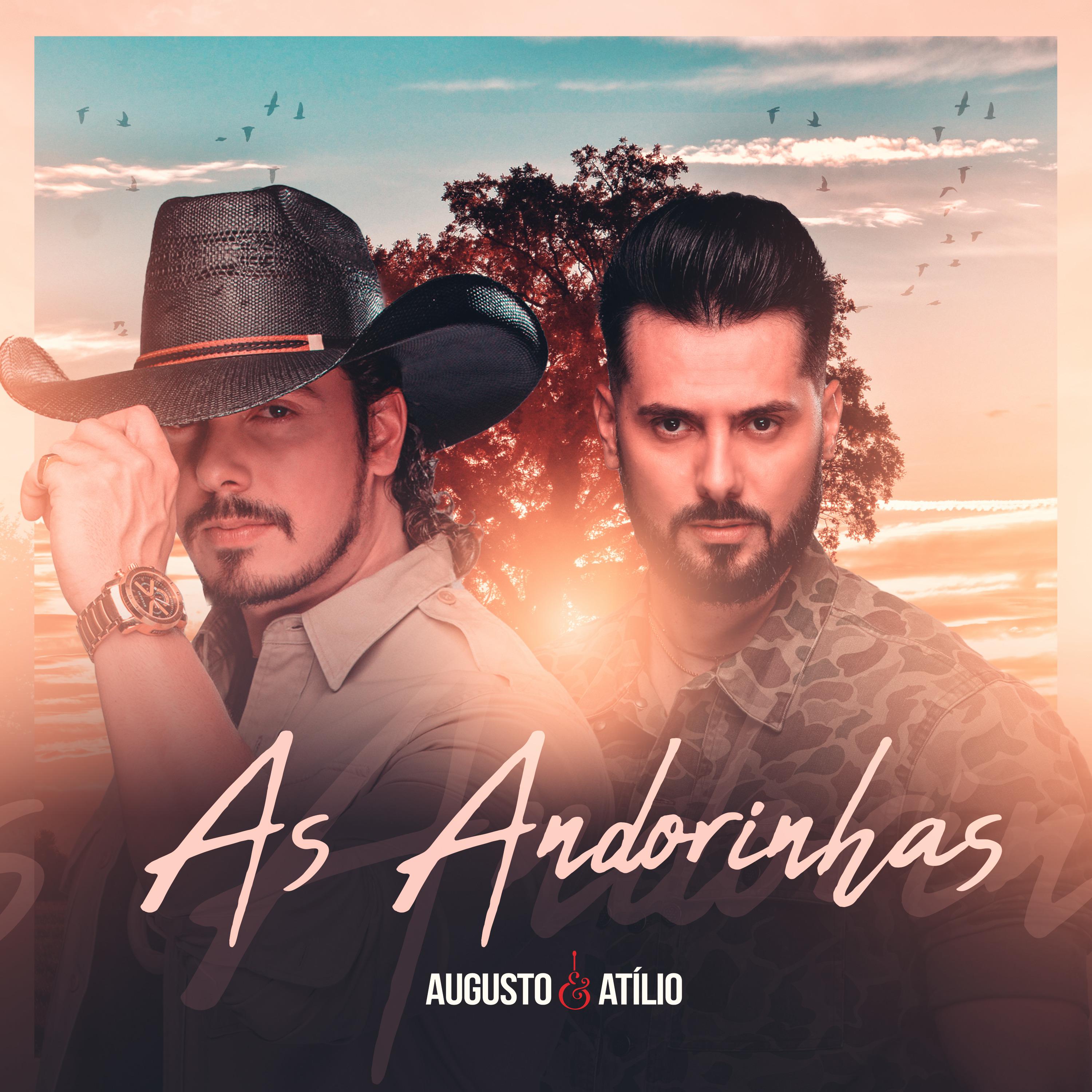Постер альбома As Andorinhas