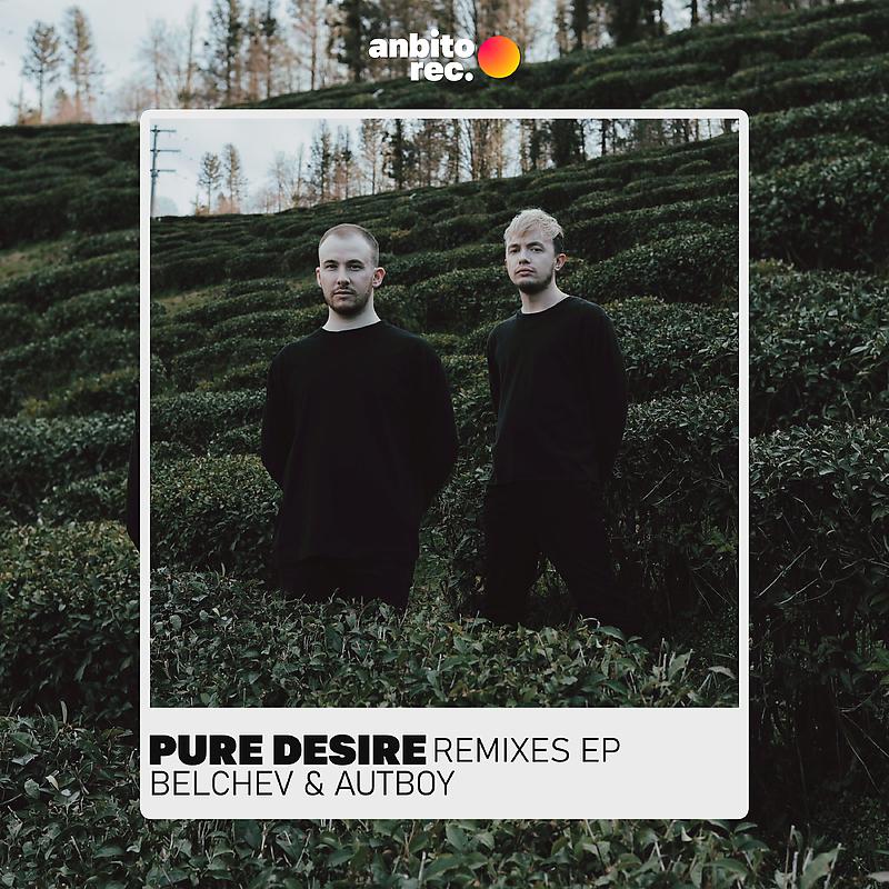 Постер альбома Pure Desire (Remixes)