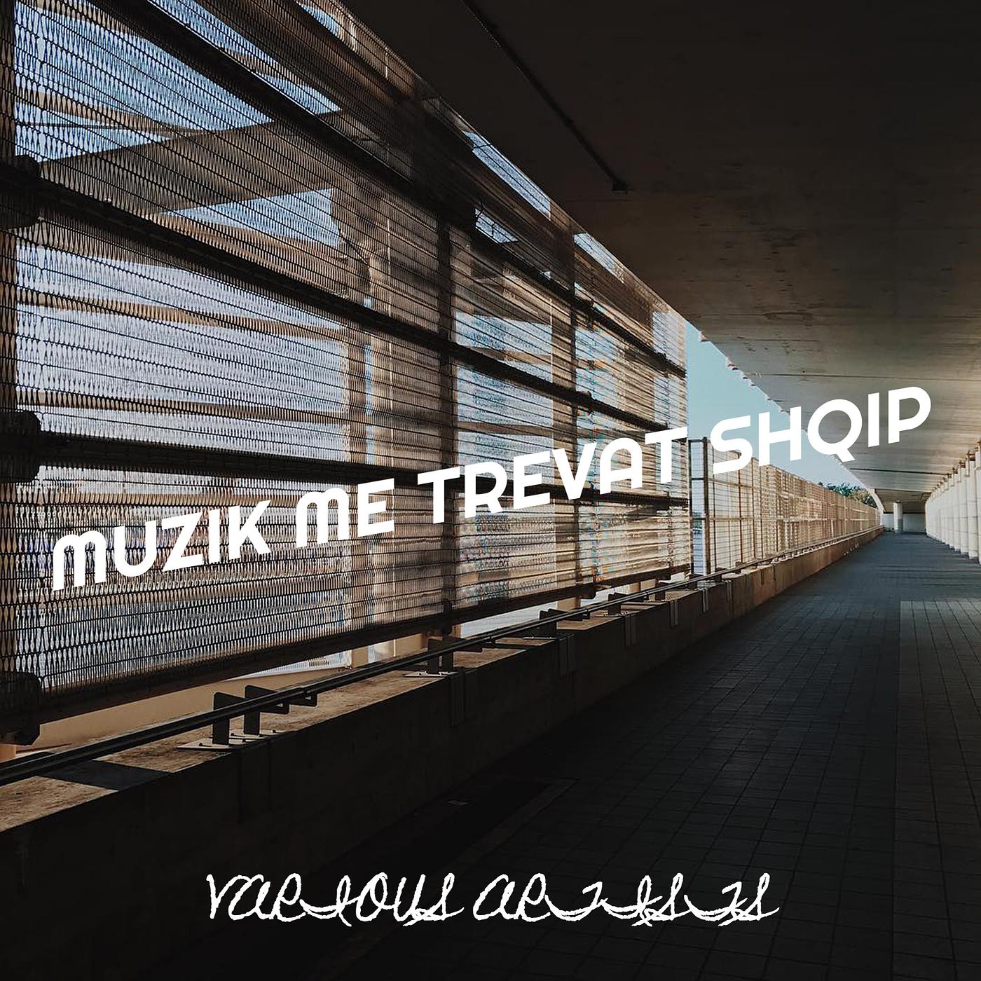 Постер альбома Muzik Me Trevat Shqip