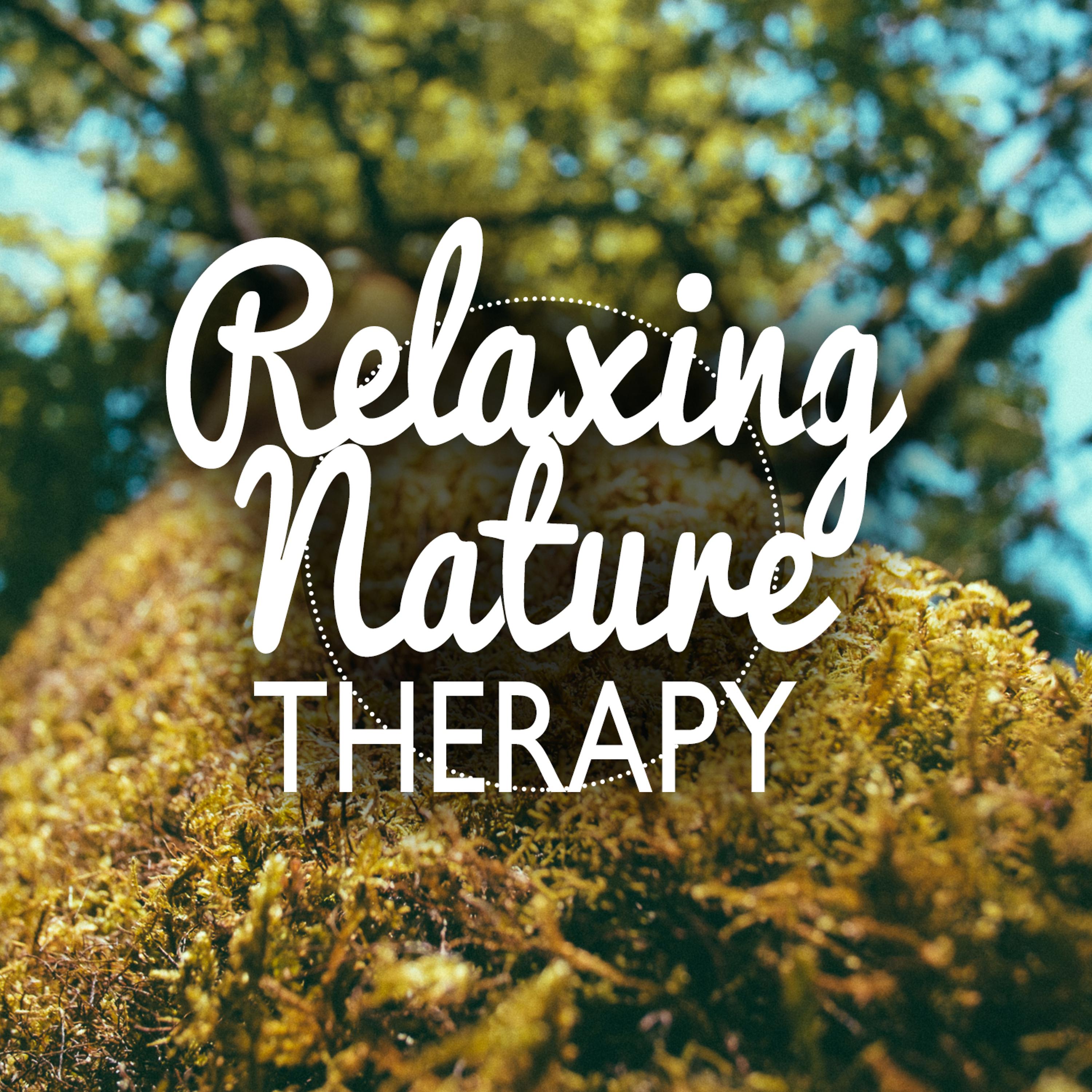 Постер альбома Relaxing Nature Therapy