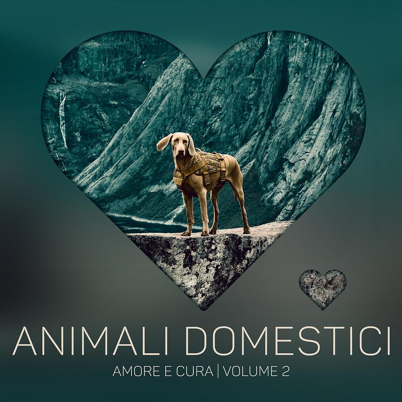 Постер альбома Animali domestici amore e cura