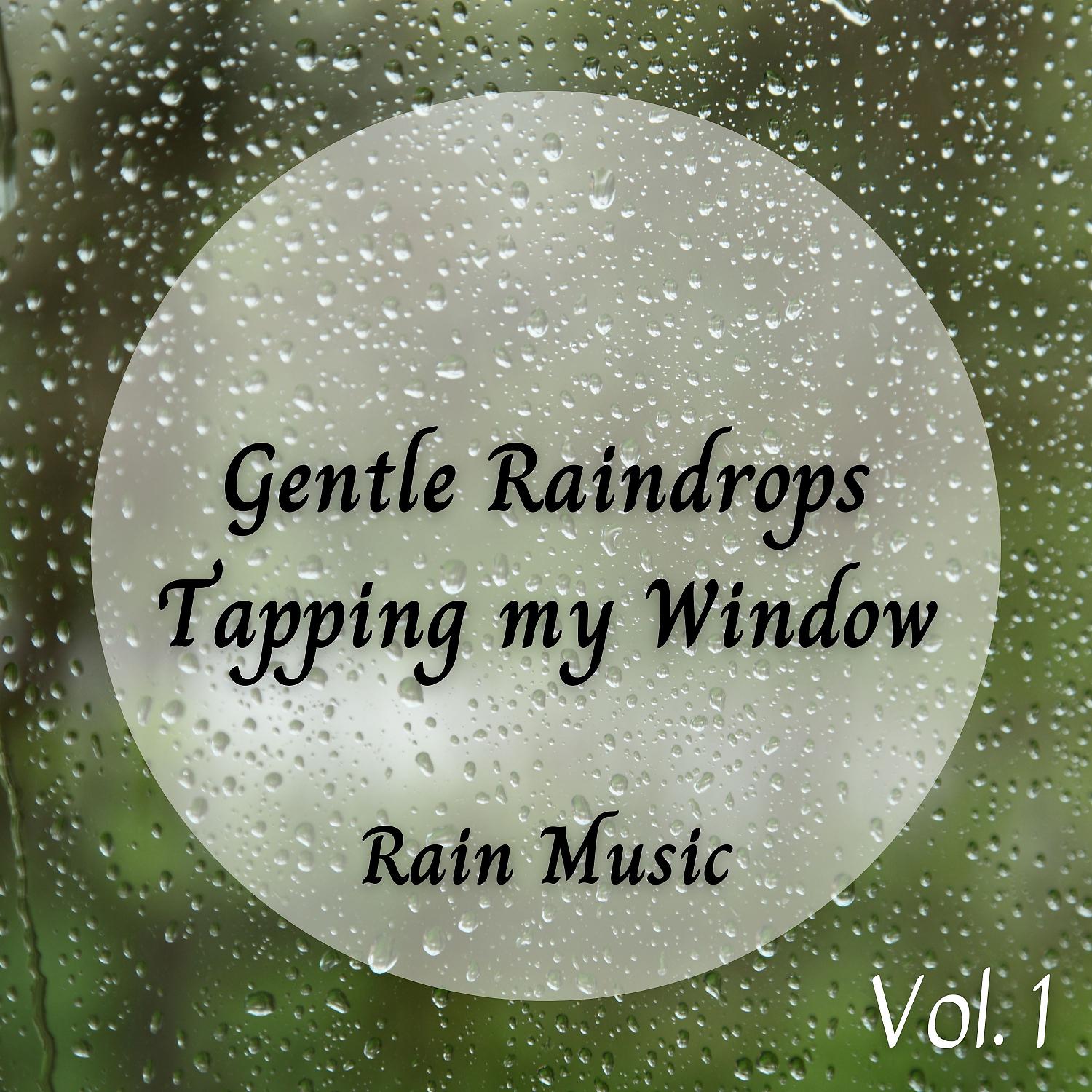 Постер альбома Rain Music: Gentle Raindrops Tapping my Window Vol. 1
