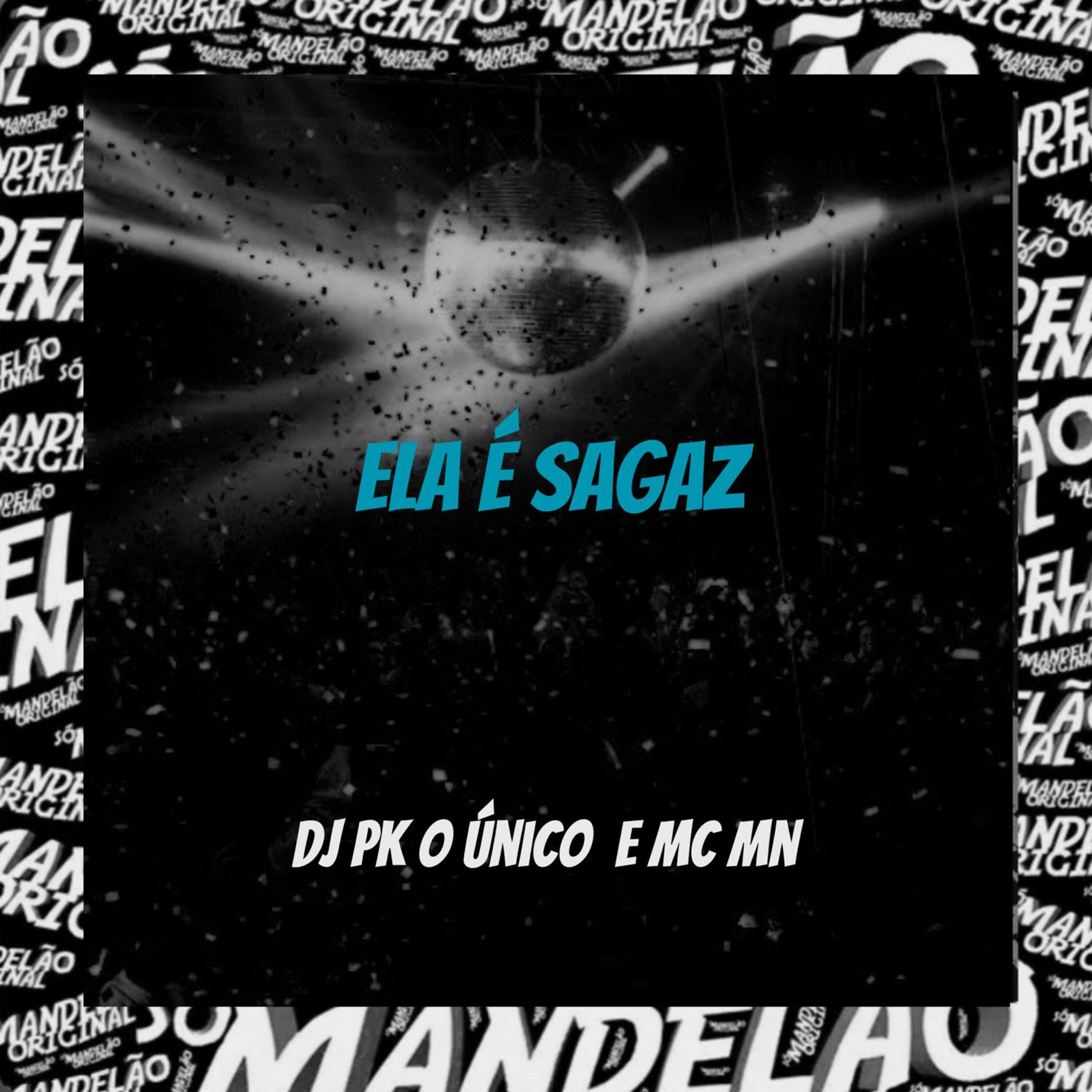 Постер альбома Ela É Sagaz