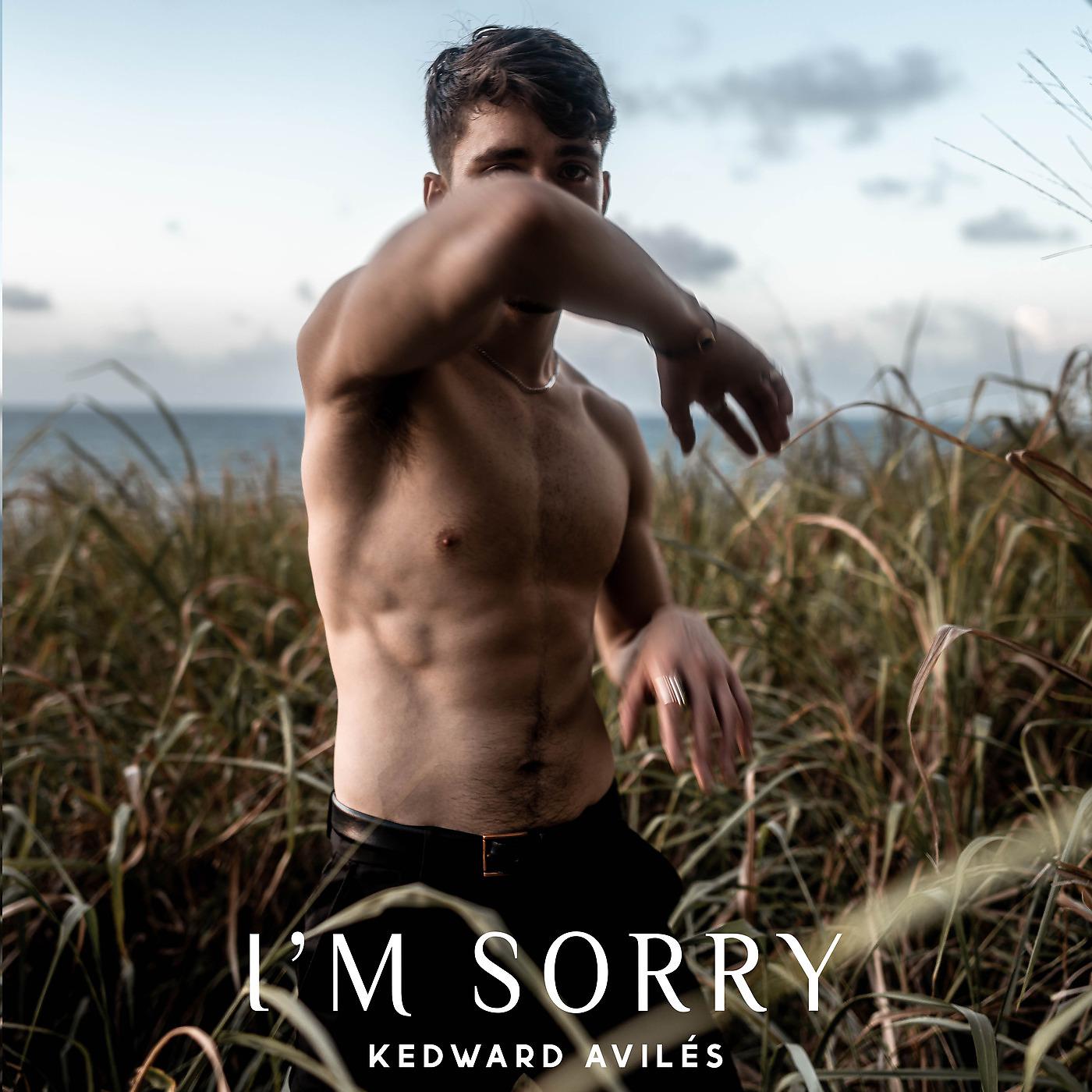 Постер альбома I'm Sorry