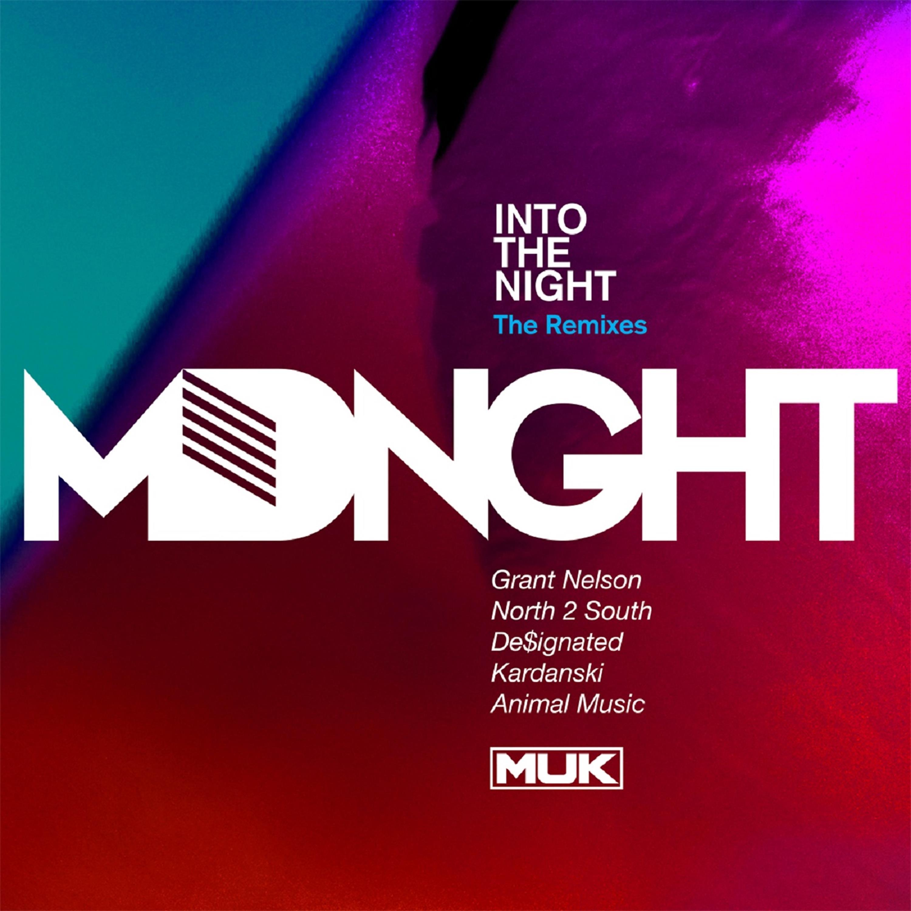 Постер альбома Into the Night (The Remixes)