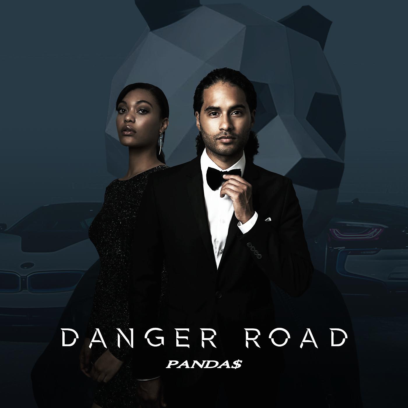 Постер альбома Danger Road