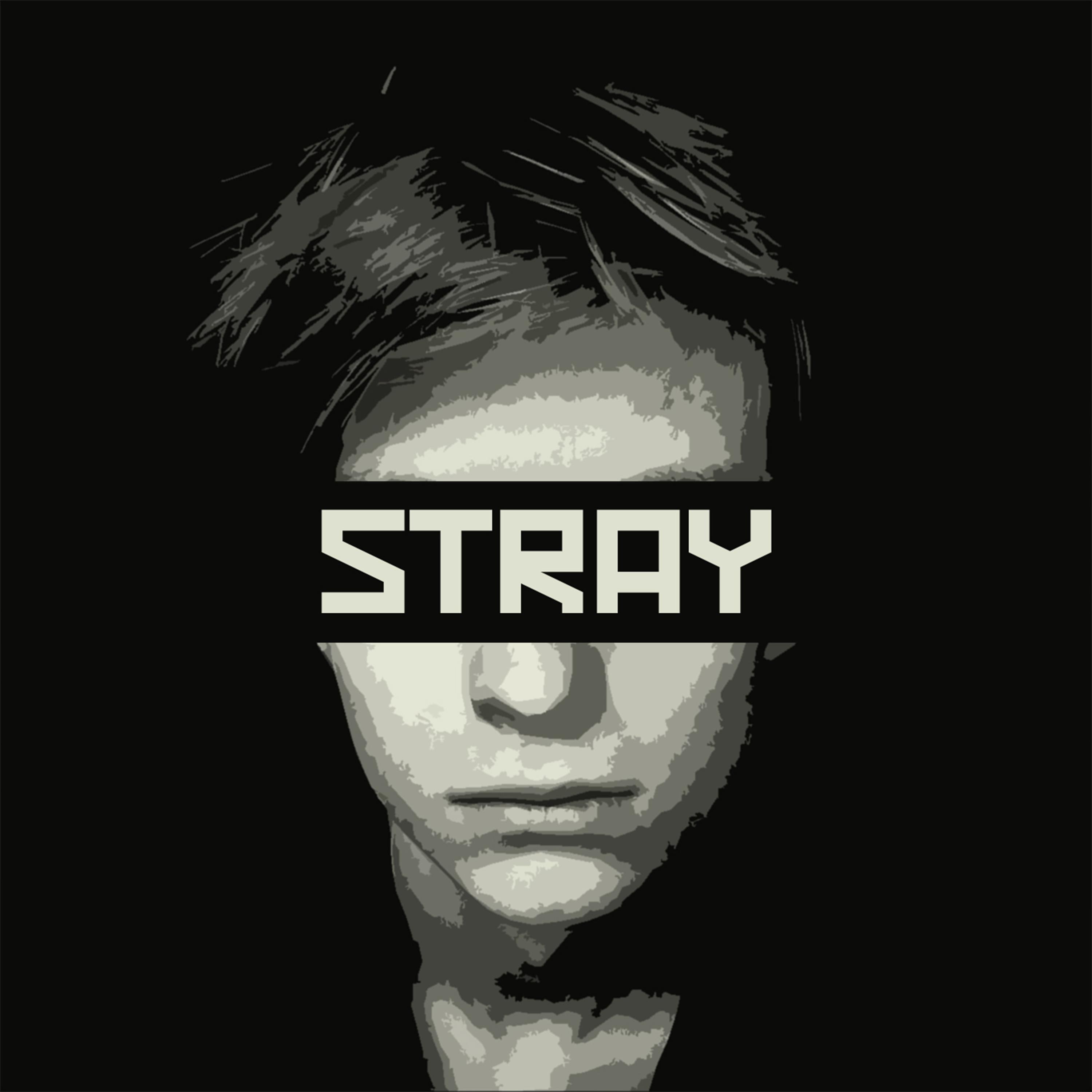 Постер альбома STRAY