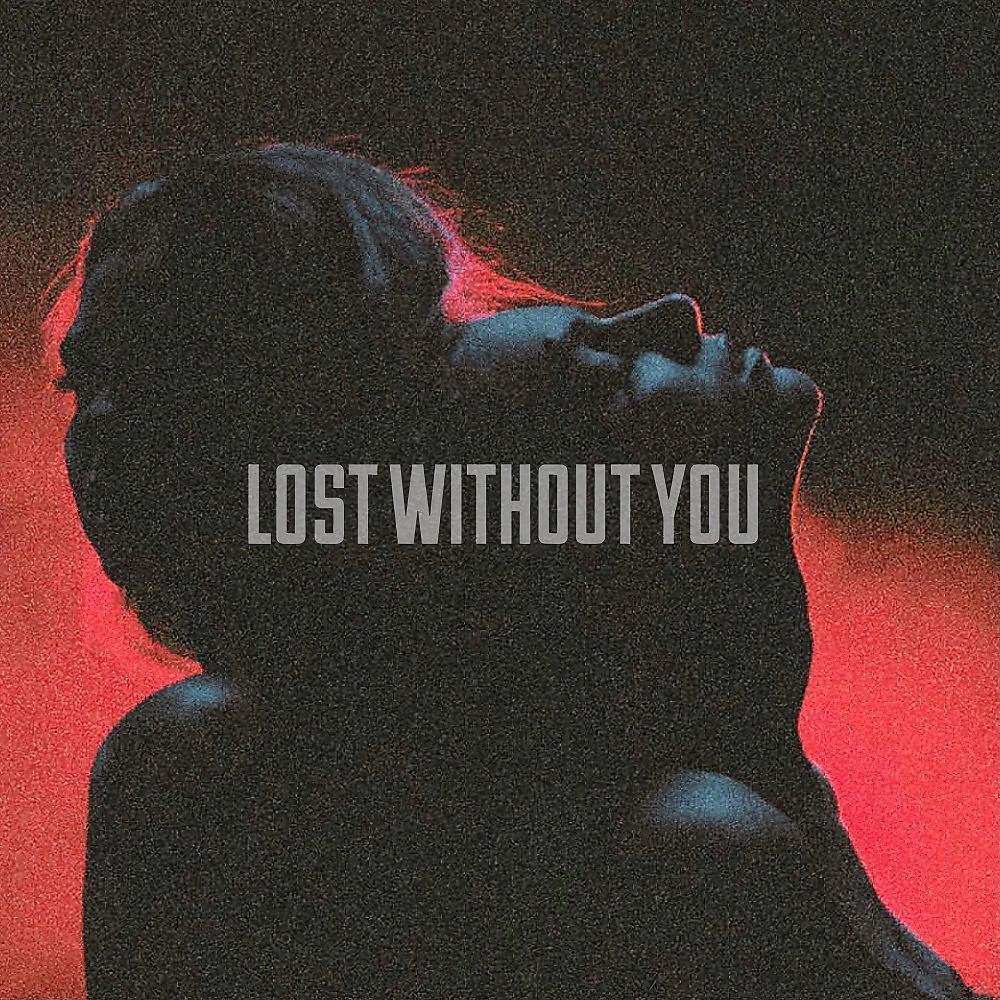 Постер альбома Lost Without You
