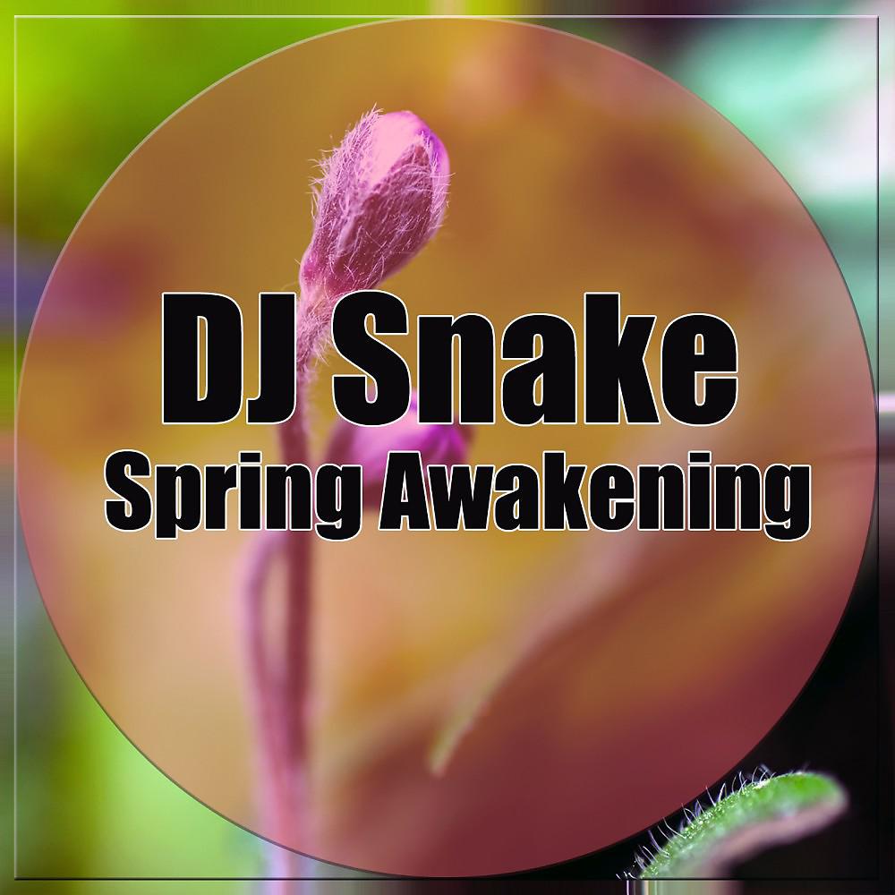 Постер альбома Spring Awakening
