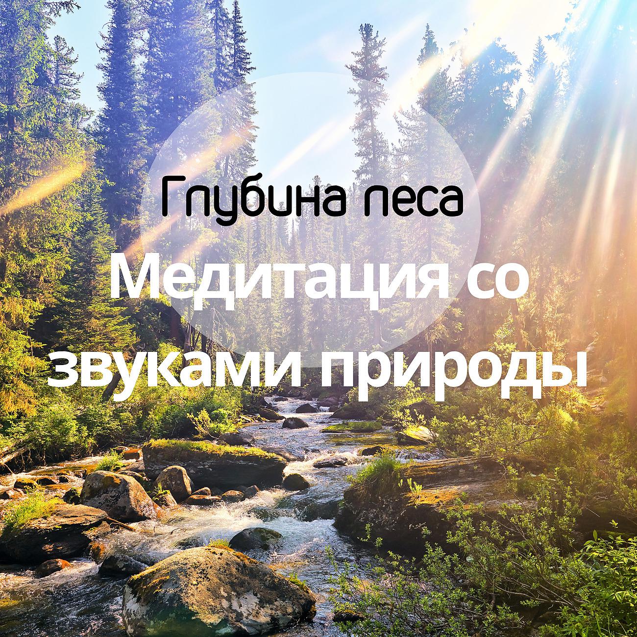 Постер альбома Глубина леса