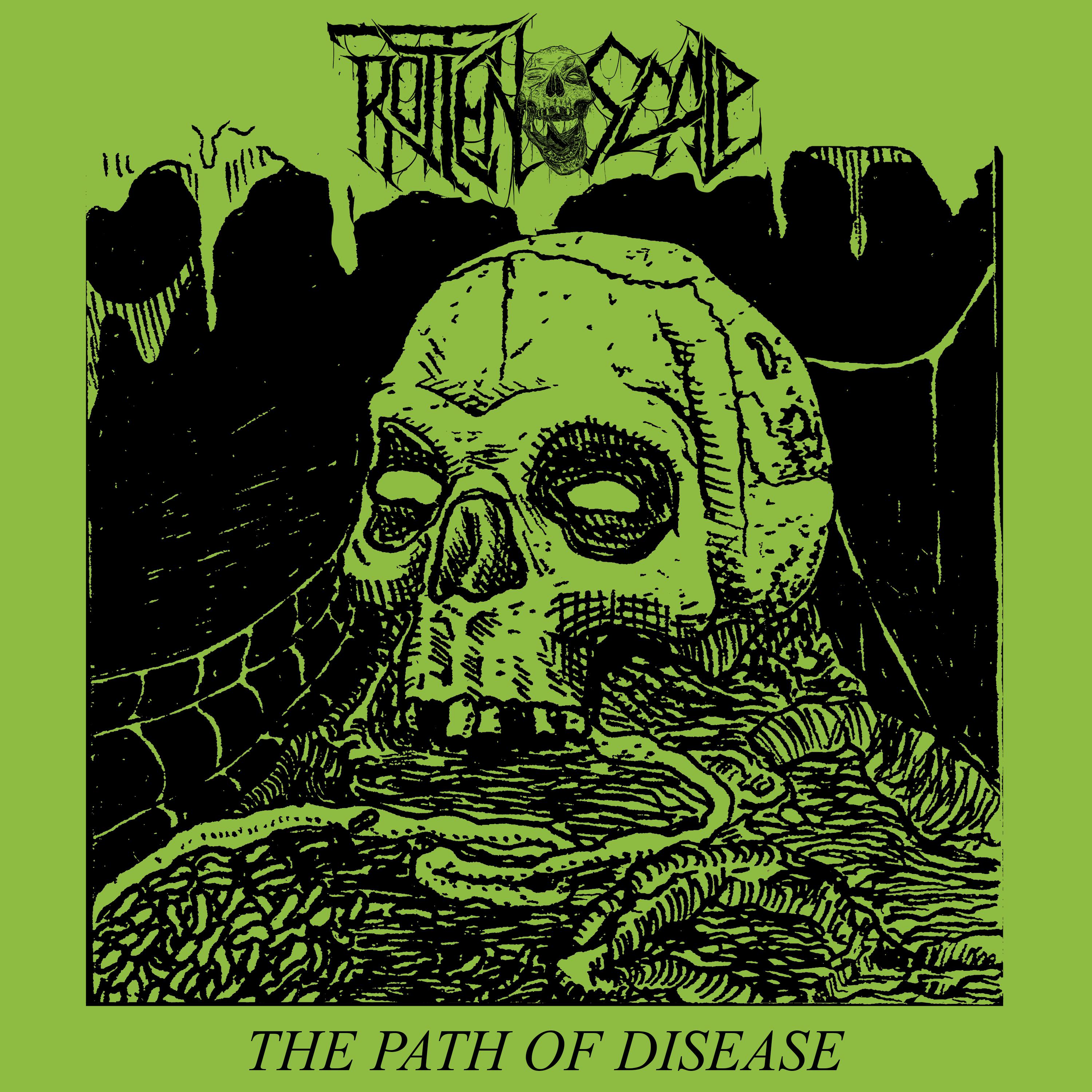 Постер альбома The Path Of Disease