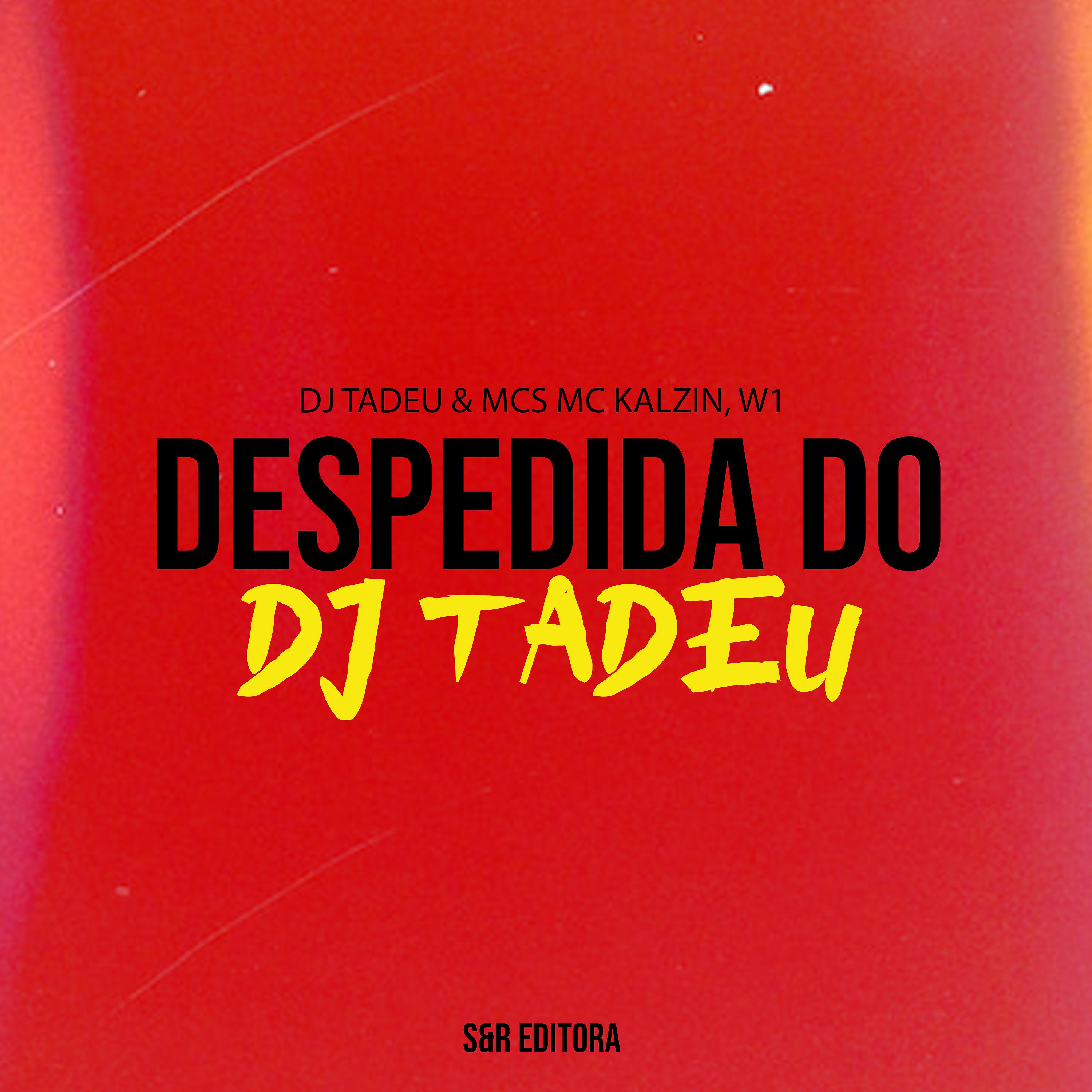 Постер альбома Despedida do Dj Tadeu