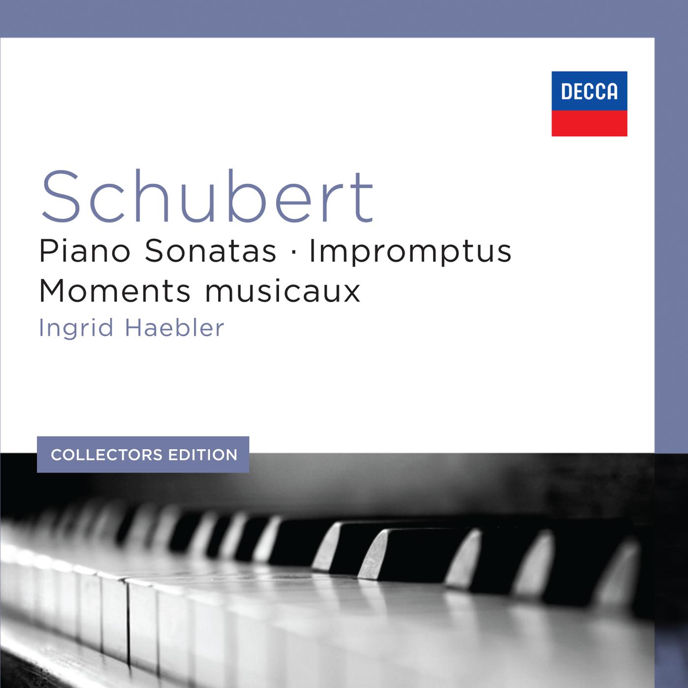 Постер альбома Schubert: The Piano Sonatas
