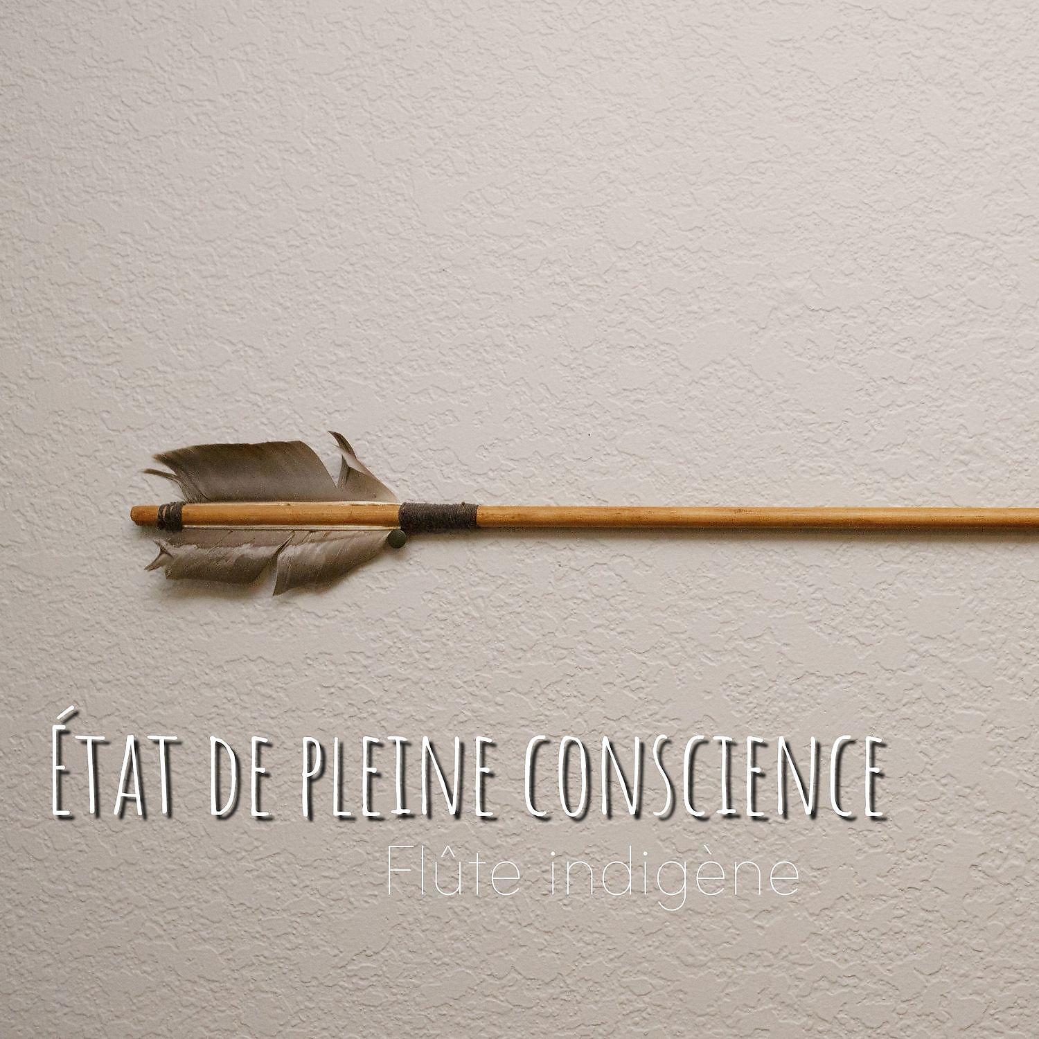 Постер альбома État de pleine conscience - Flûte indigène
