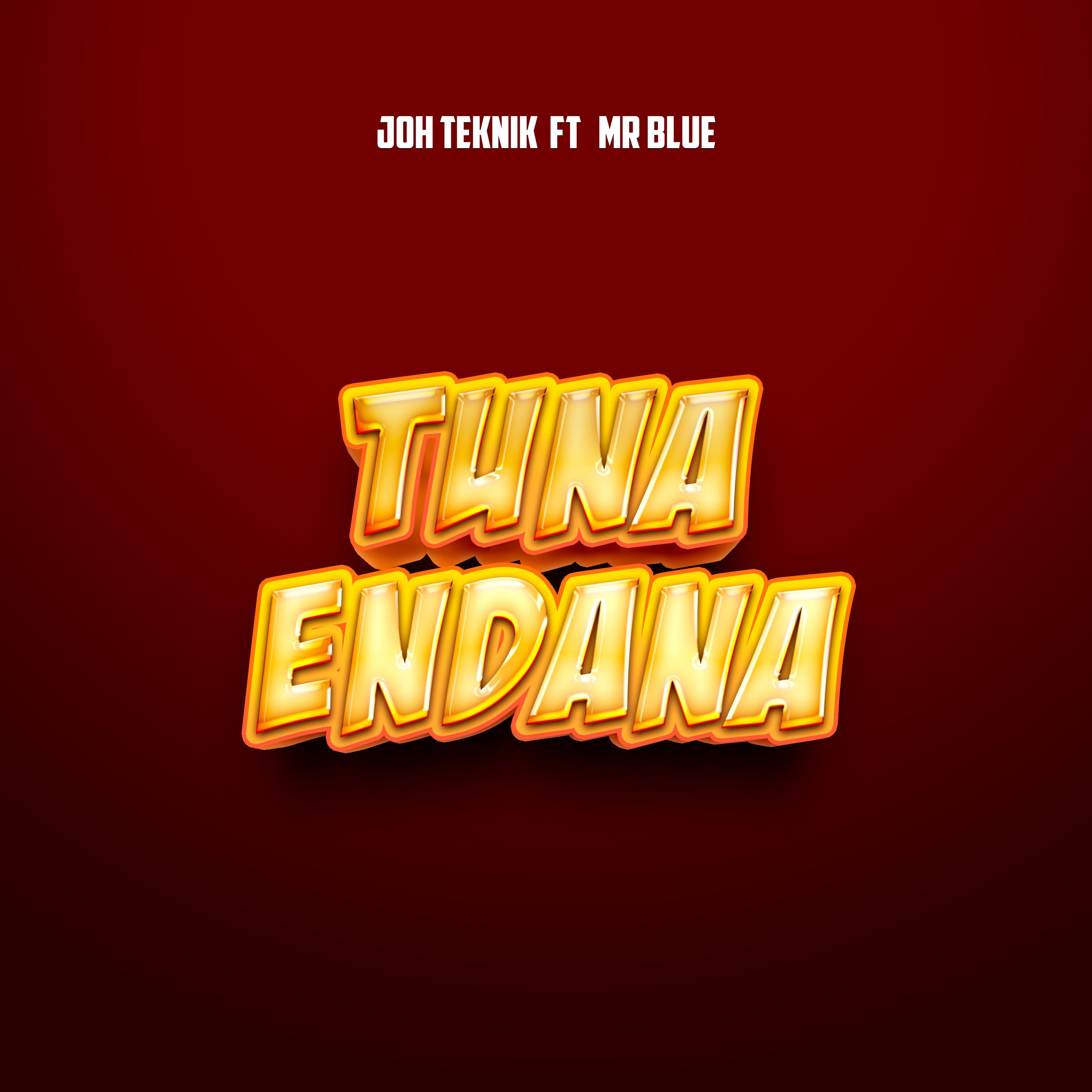 Постер альбома Tuna Endana