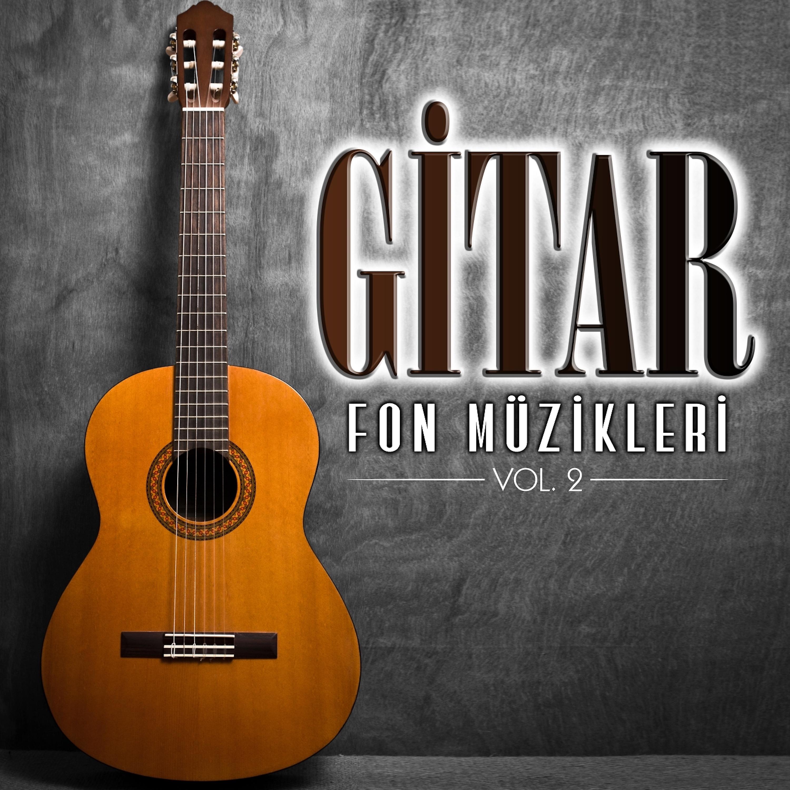 Постер альбома Gitar Fon Müzikleri Vol.2