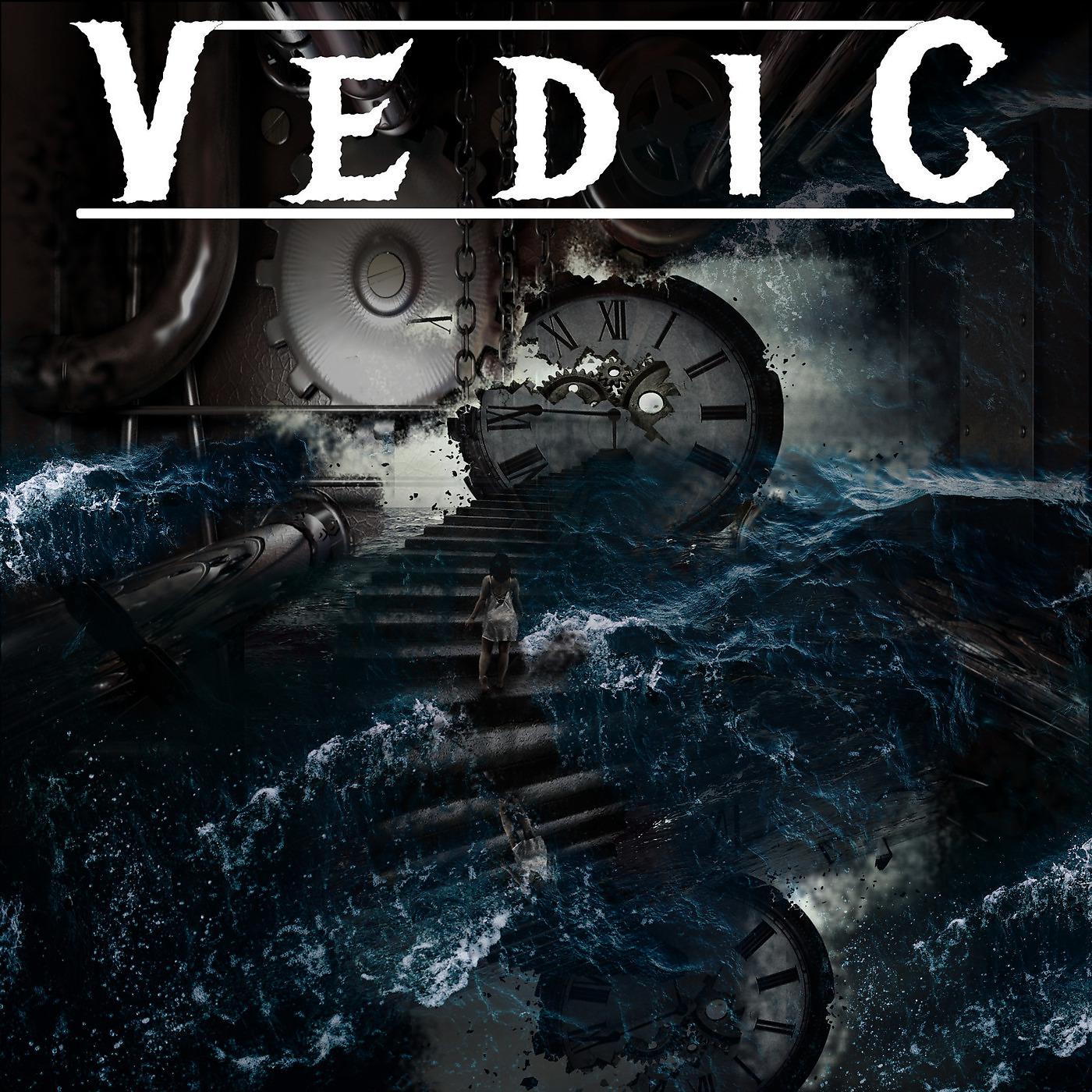 Постер альбома Vedic