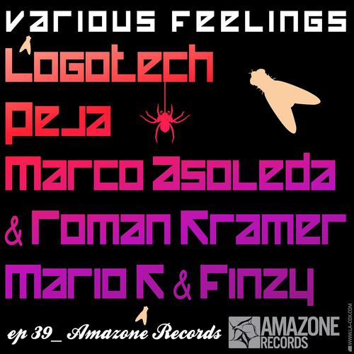 Постер альбома Various Feelings EP