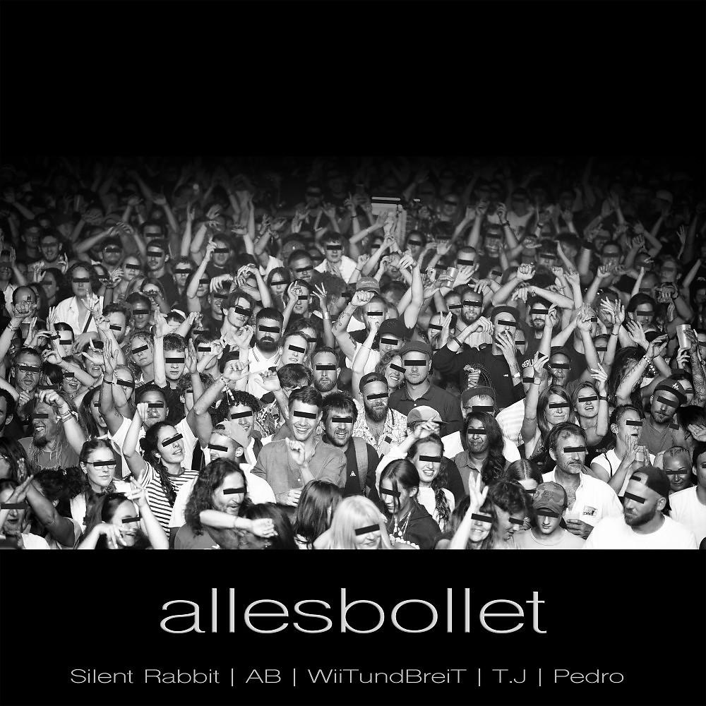 Постер альбома Allesbollet