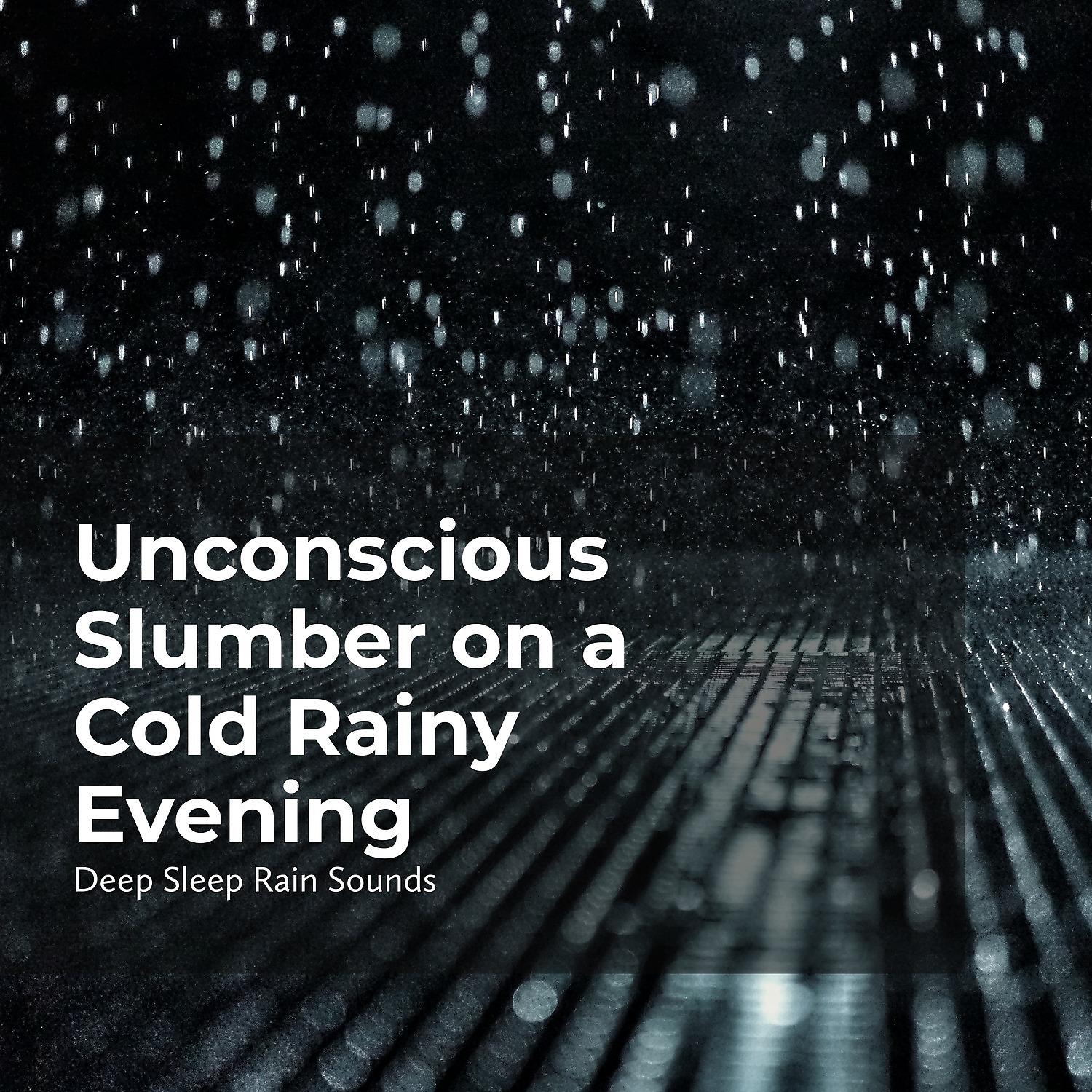 Постер альбома Unconscious Slumber on a Cold Rainy Evening
