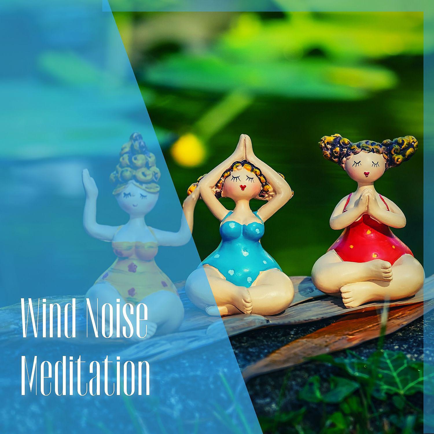 Постер альбома Wind Noise Meditation - Calm and Soothing Treatment