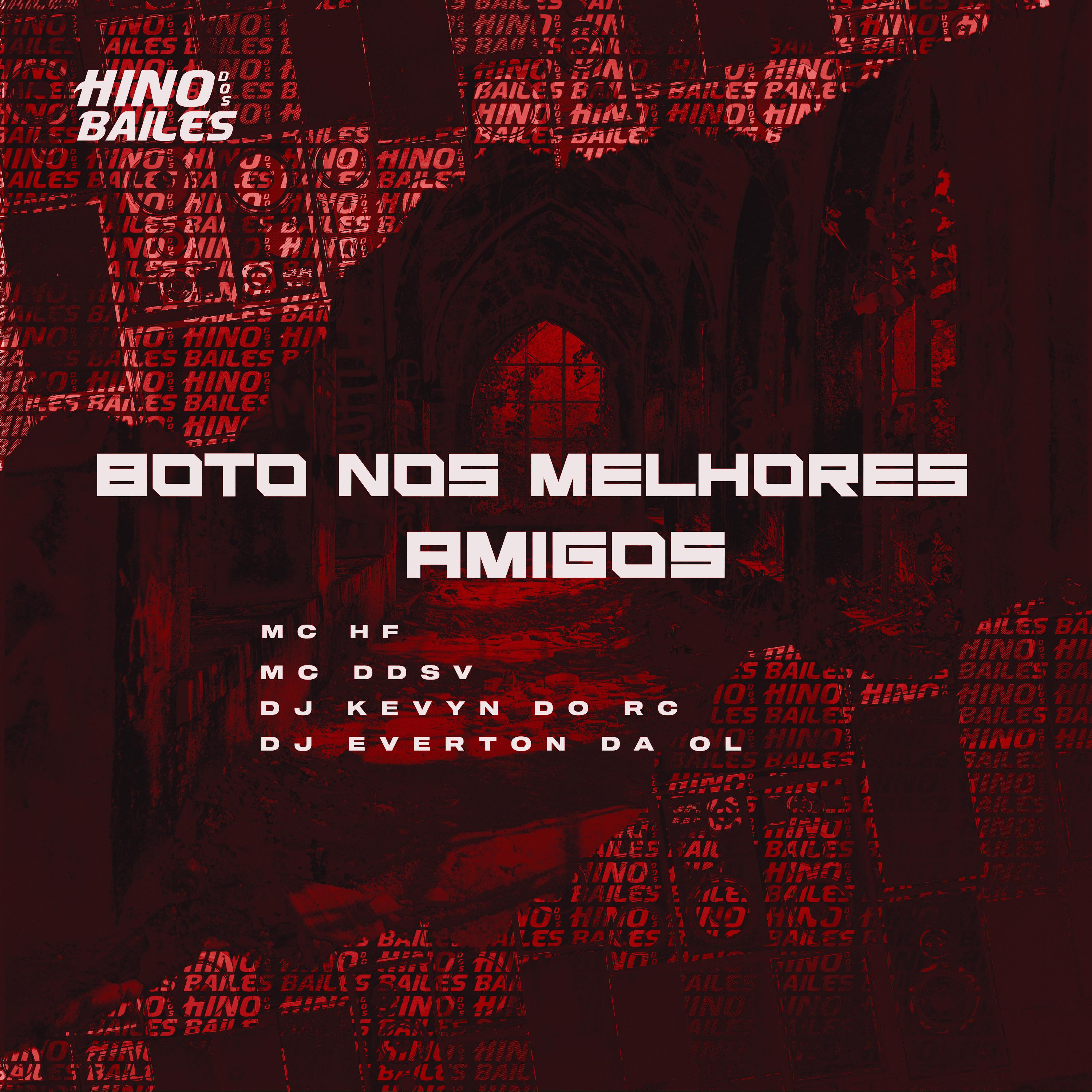 Постер альбома Boto nos Melhores Amigos