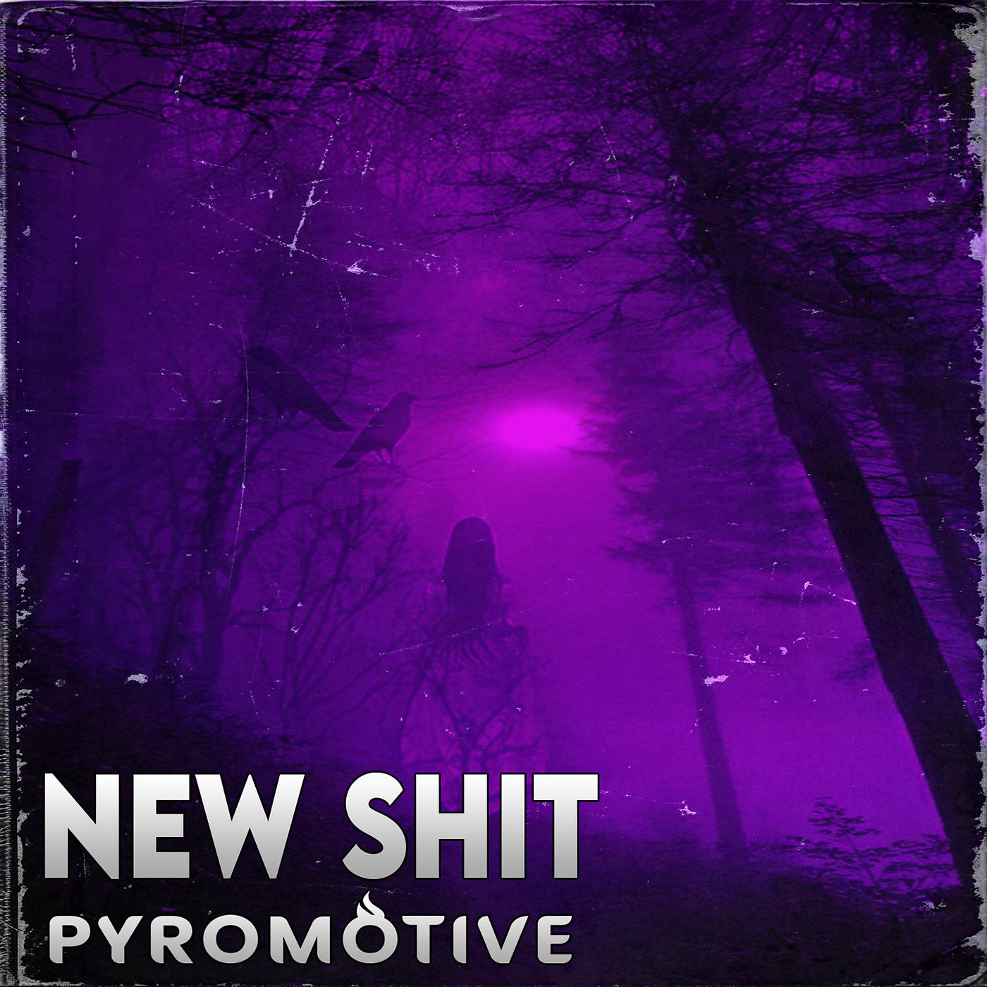 Постер альбома New Shit