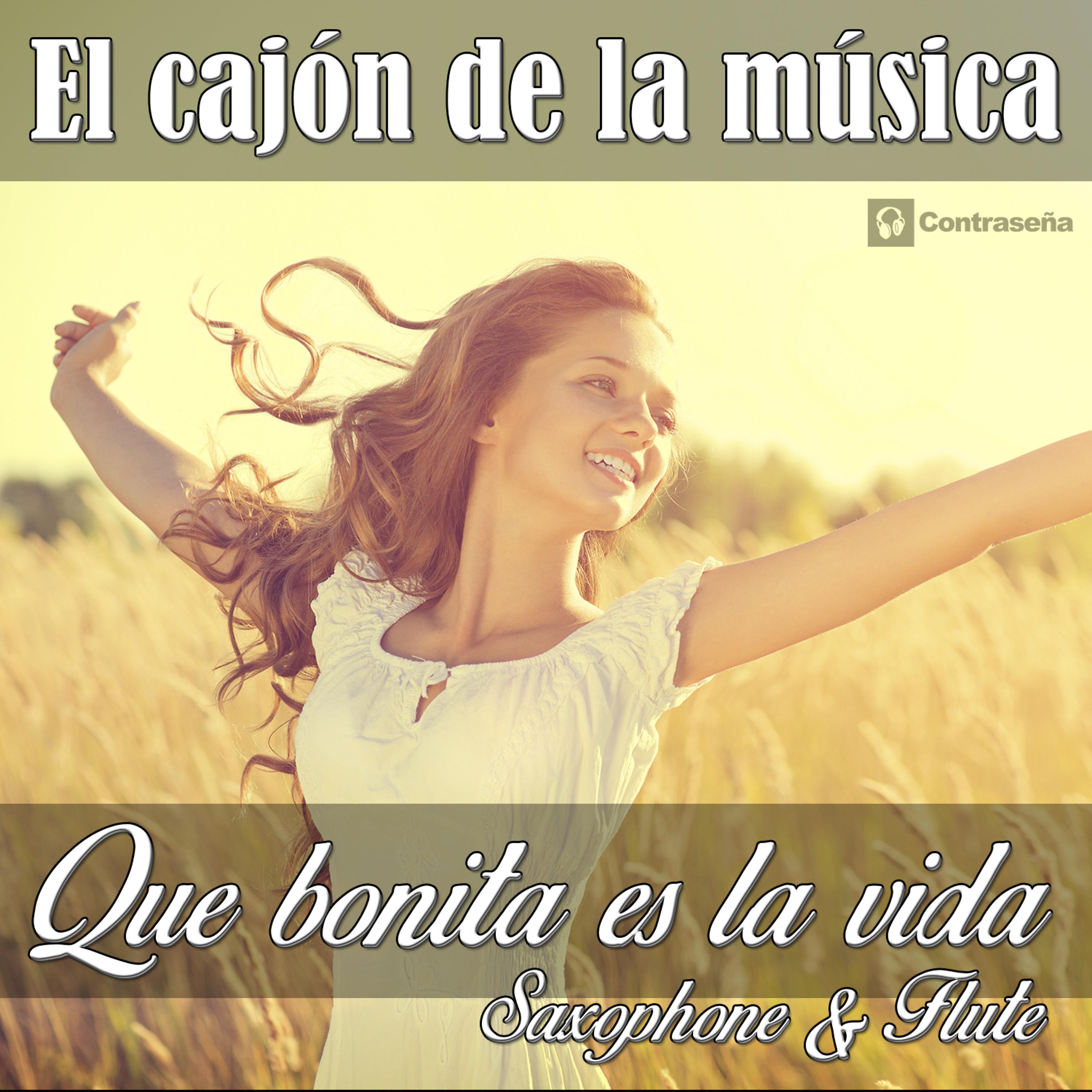 Постер альбома Que Bonita la Vida (Saxophone & Flute)