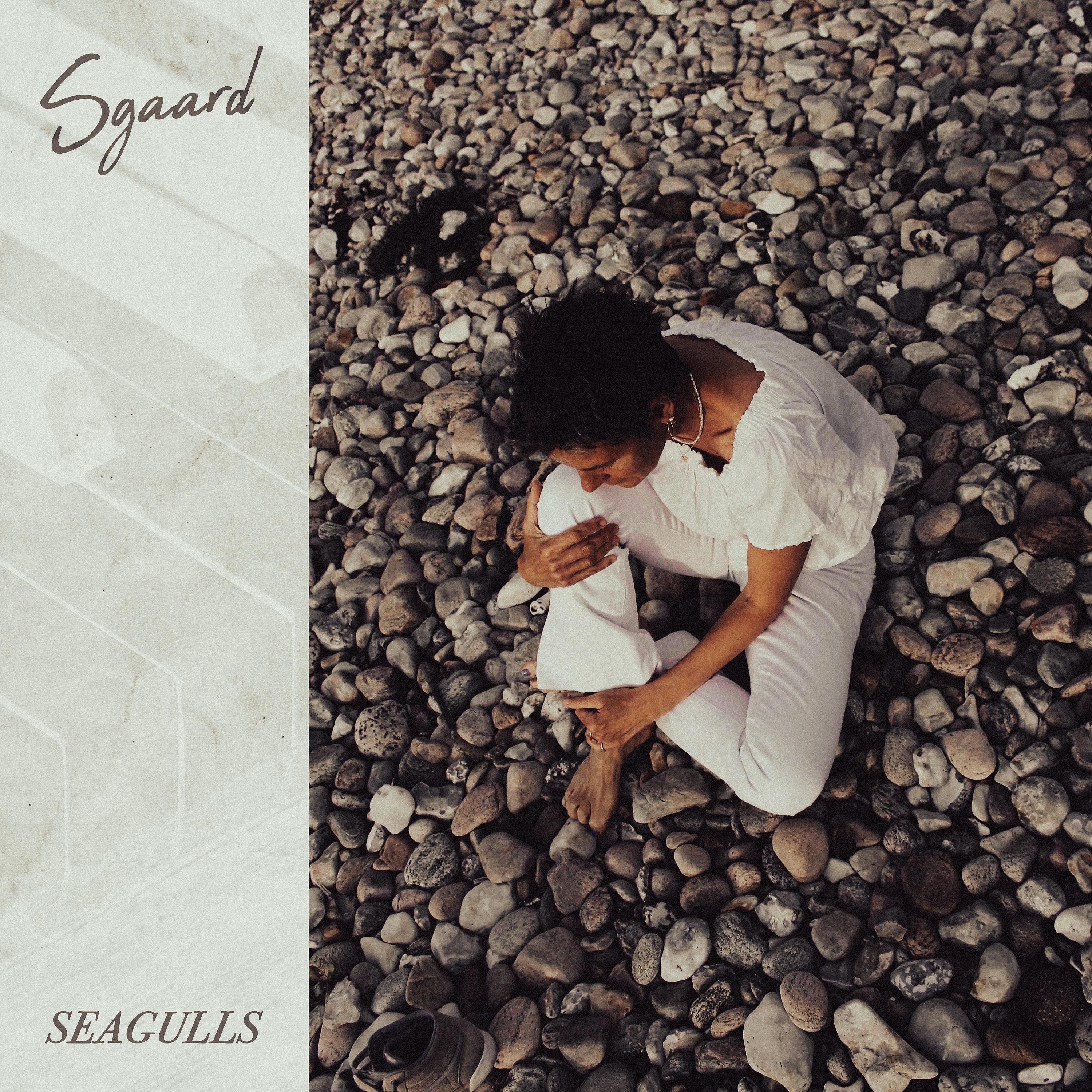 Постер альбома Seagulls