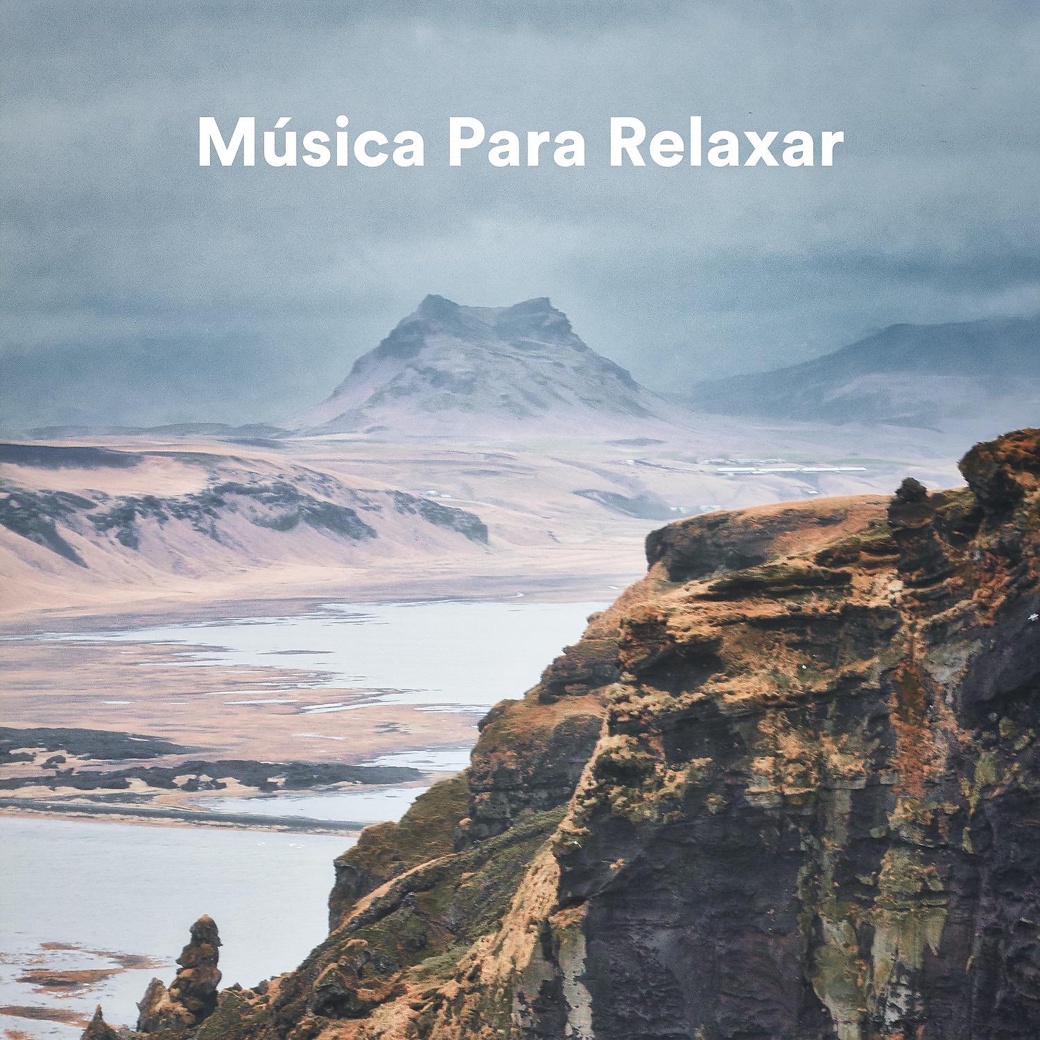 Постер альбома Música para Relaxar