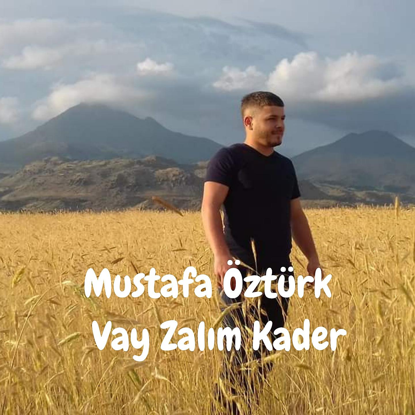 Постер альбома Vay Zalım Kader