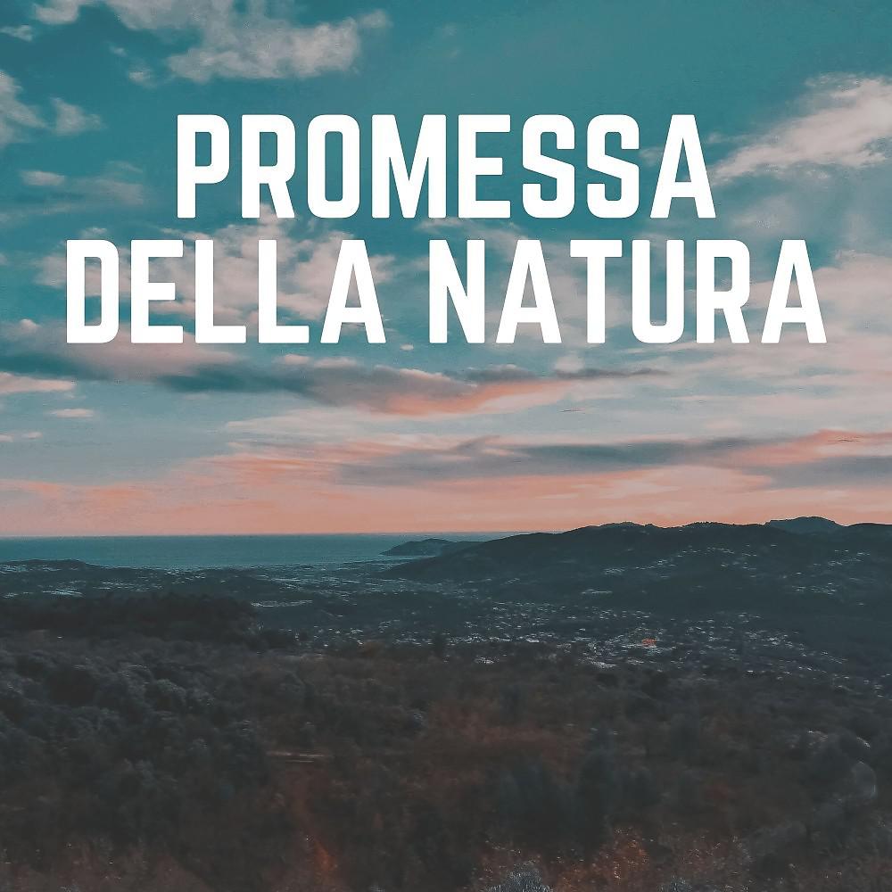 Постер альбома Promessa Della Natura