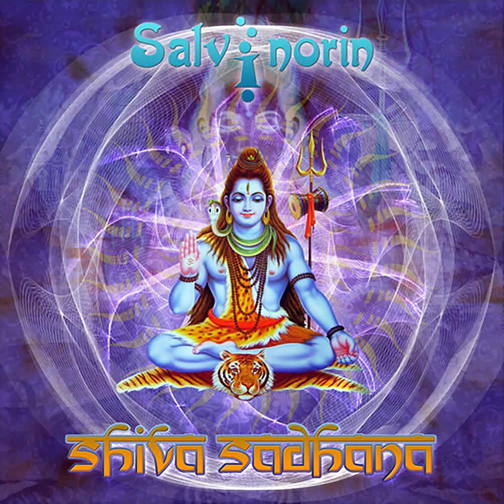 Постер альбома Shiva Sadhana