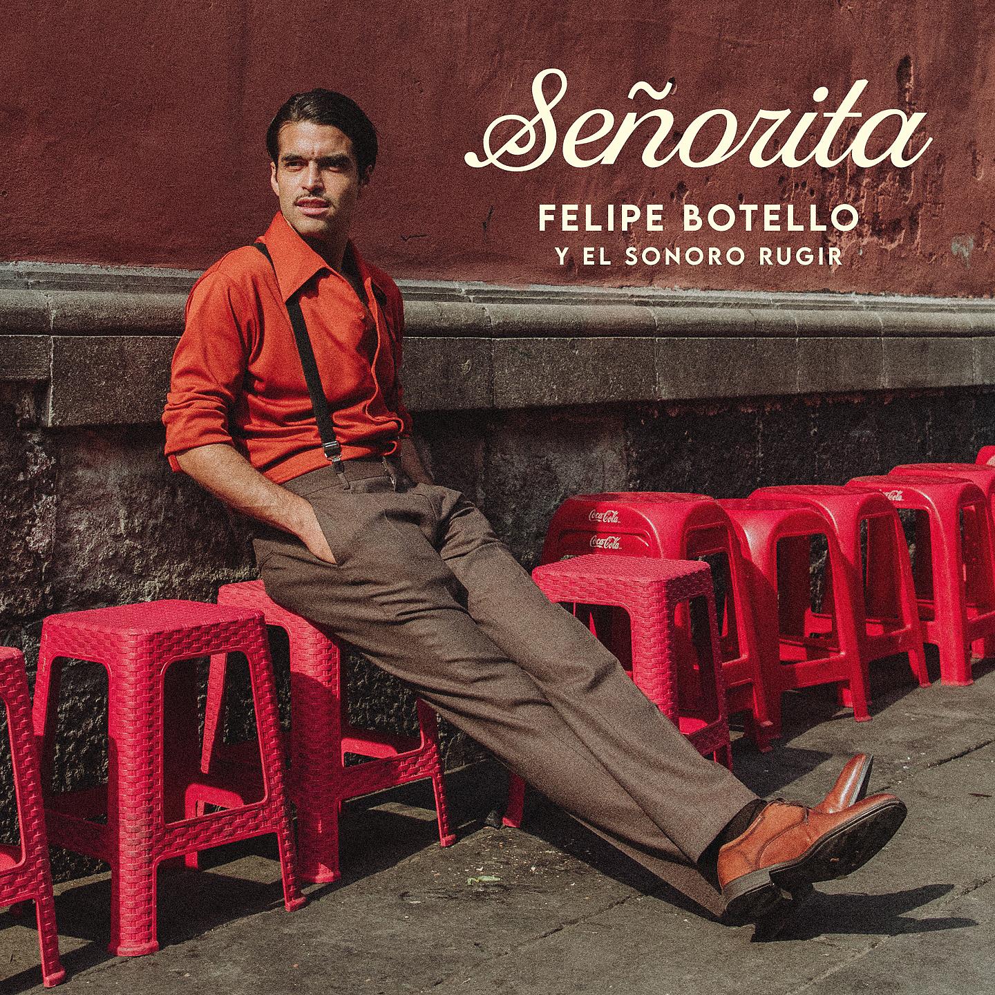 Постер альбома Señorita