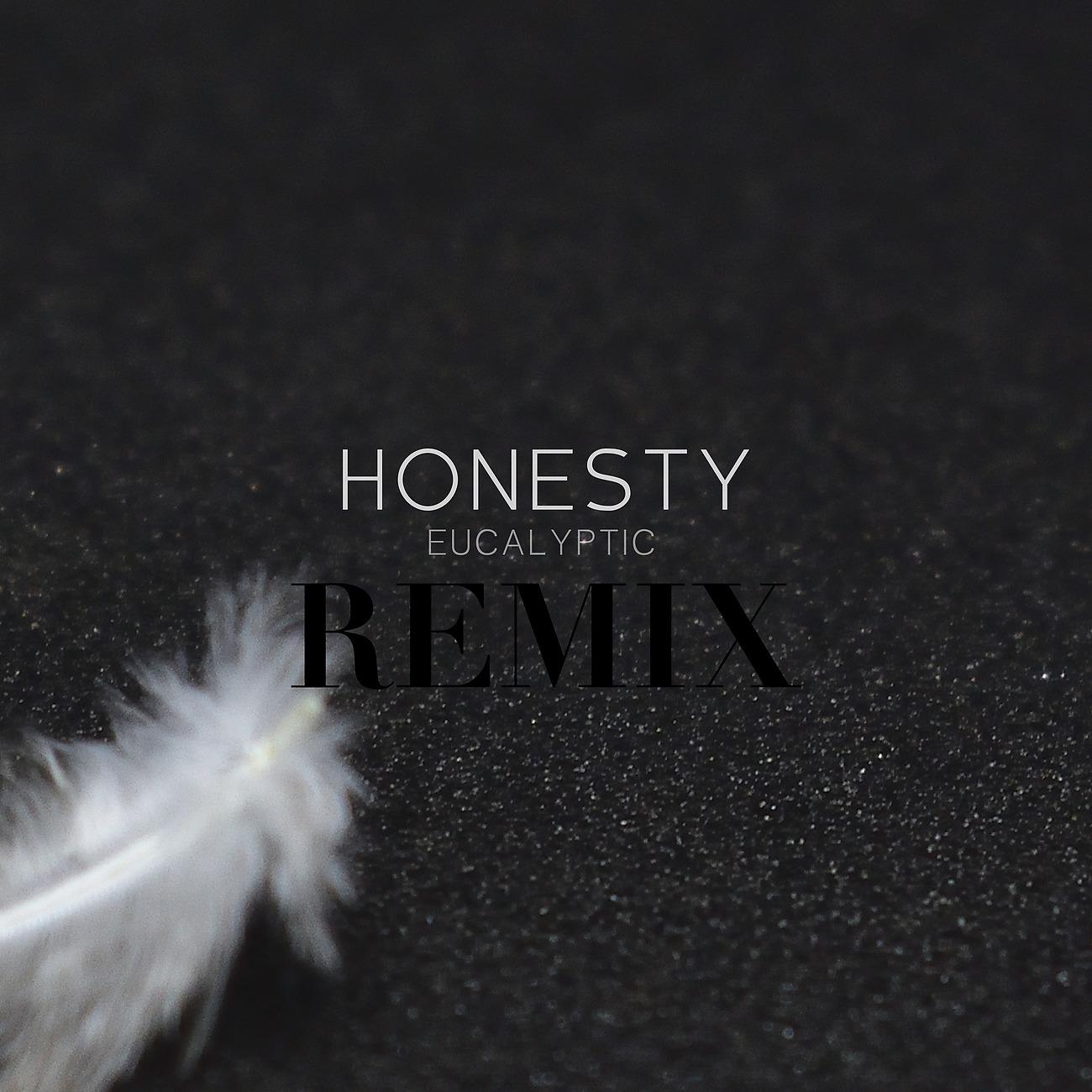 Постер альбома Honesty - Remix
