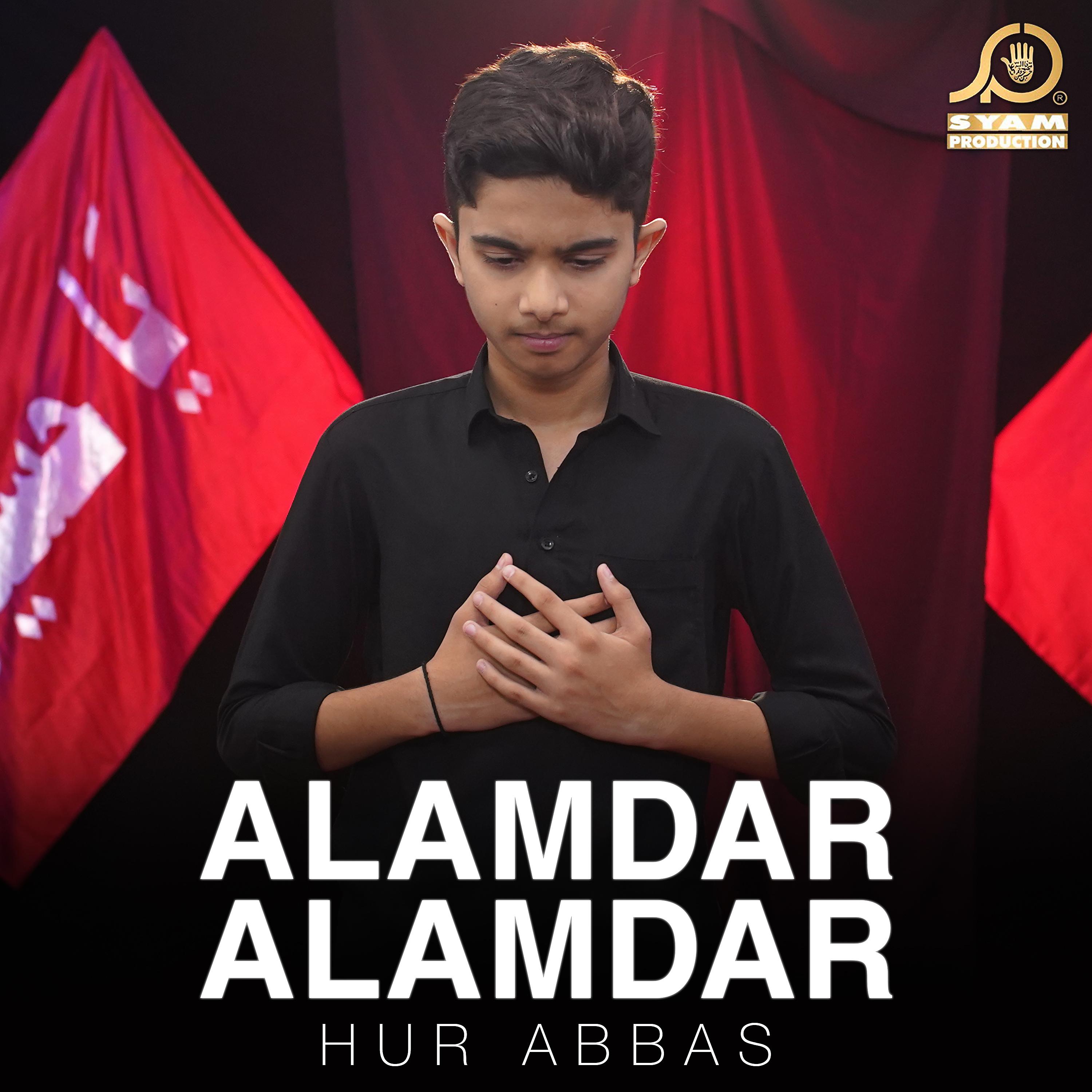 Постер альбома Alamdar Alamdar