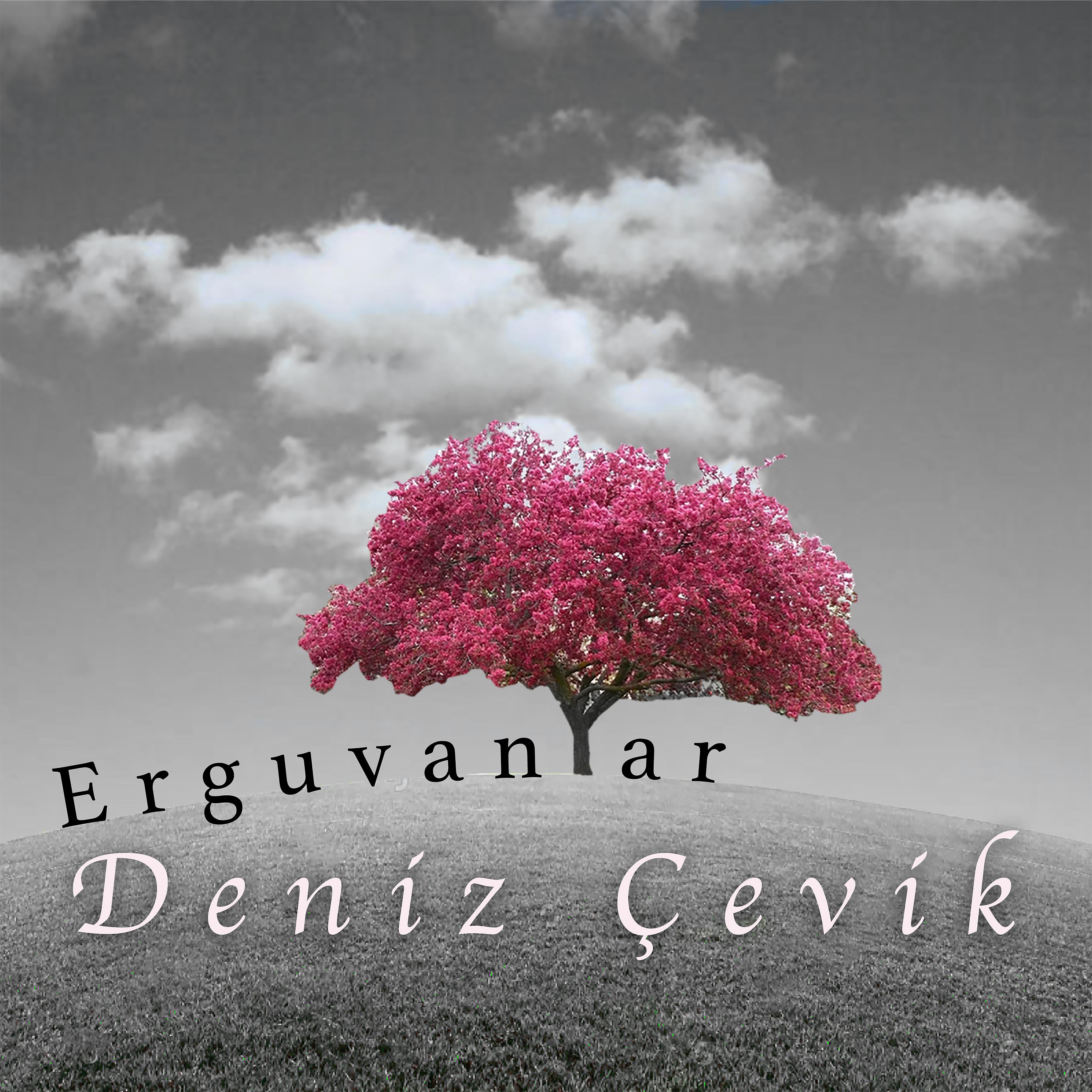 Постер альбома Erguvanlar