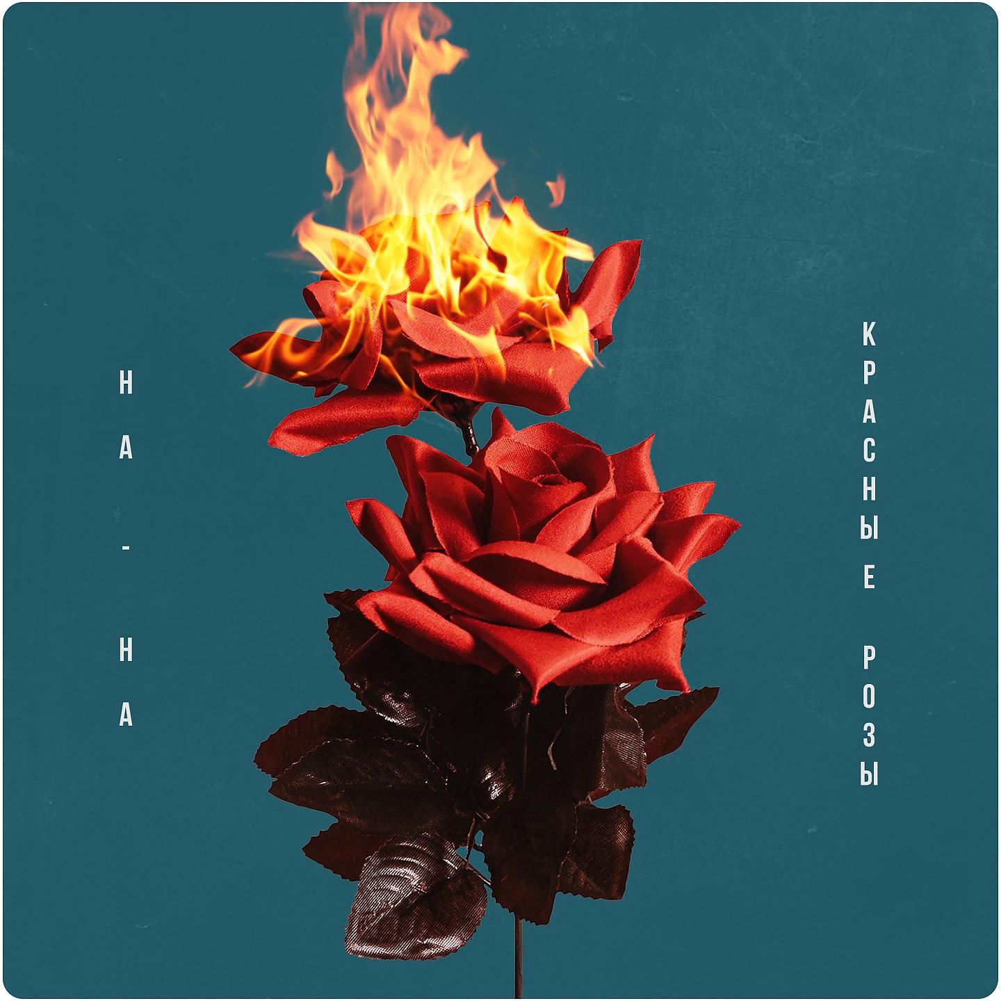 Постер альбома Красные розы