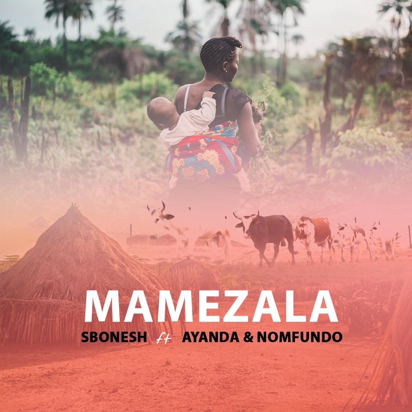 Постер альбома Mamezala