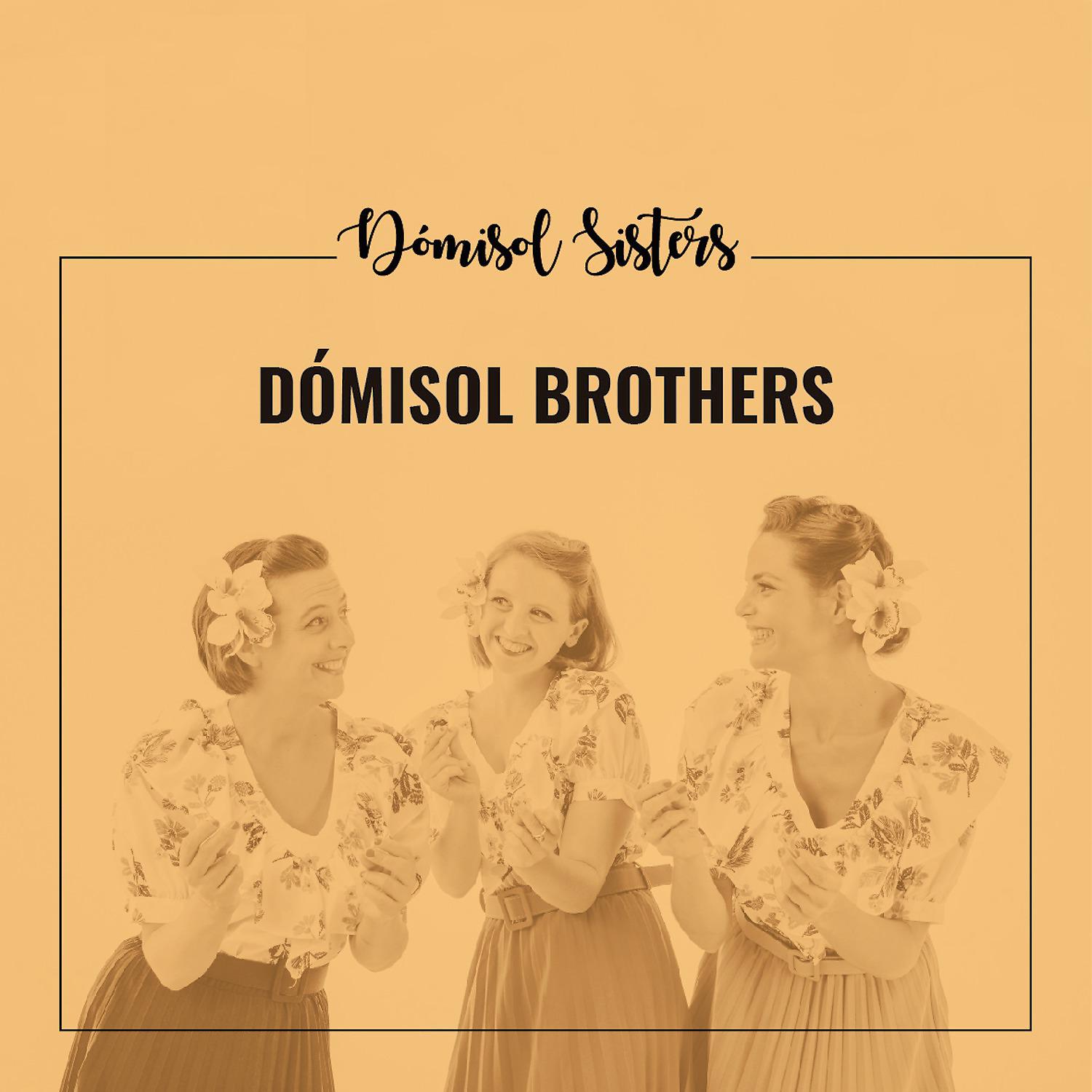 Постер альбома Dómisol Brothers